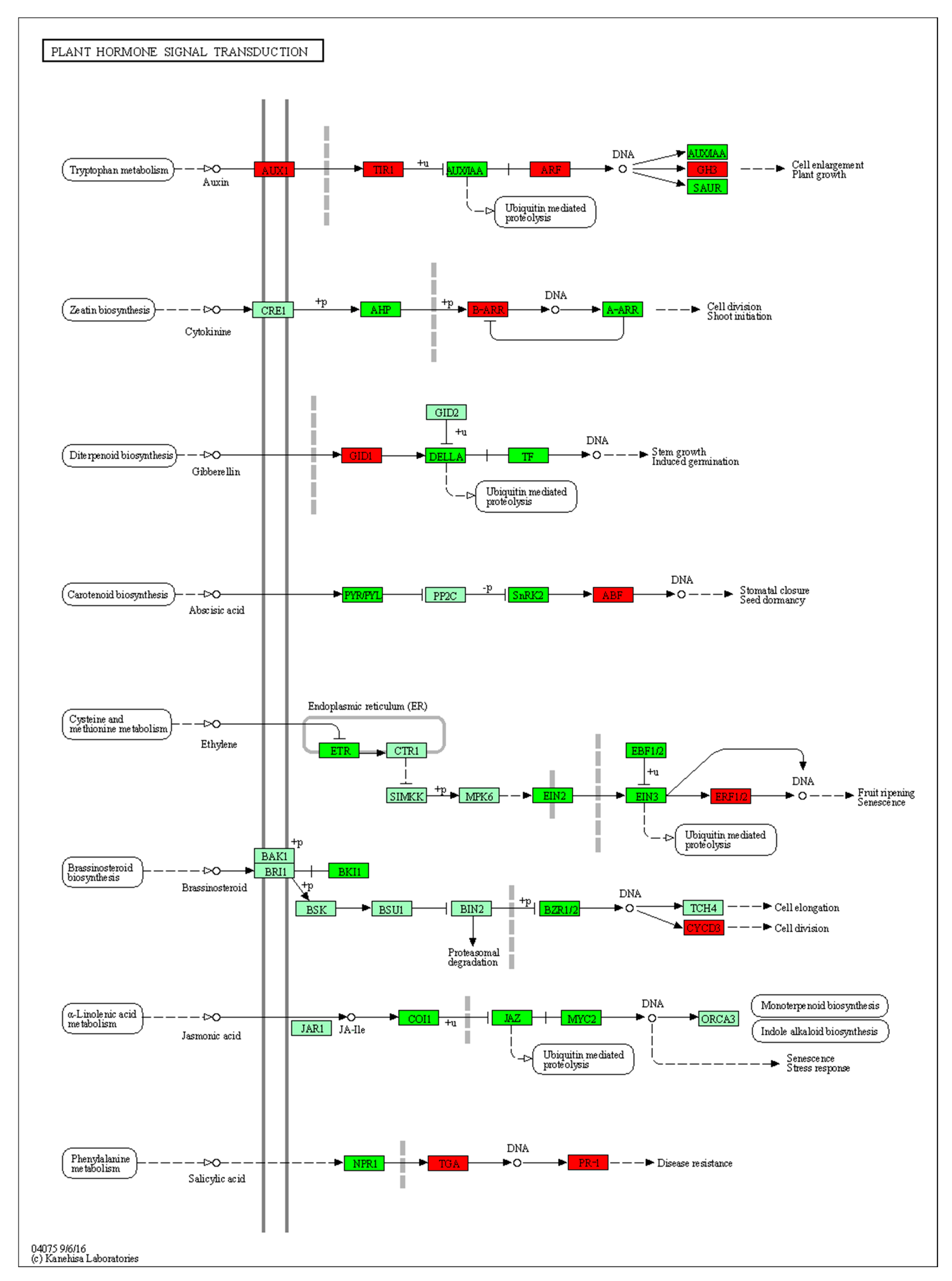 Plants 12 03663 g011