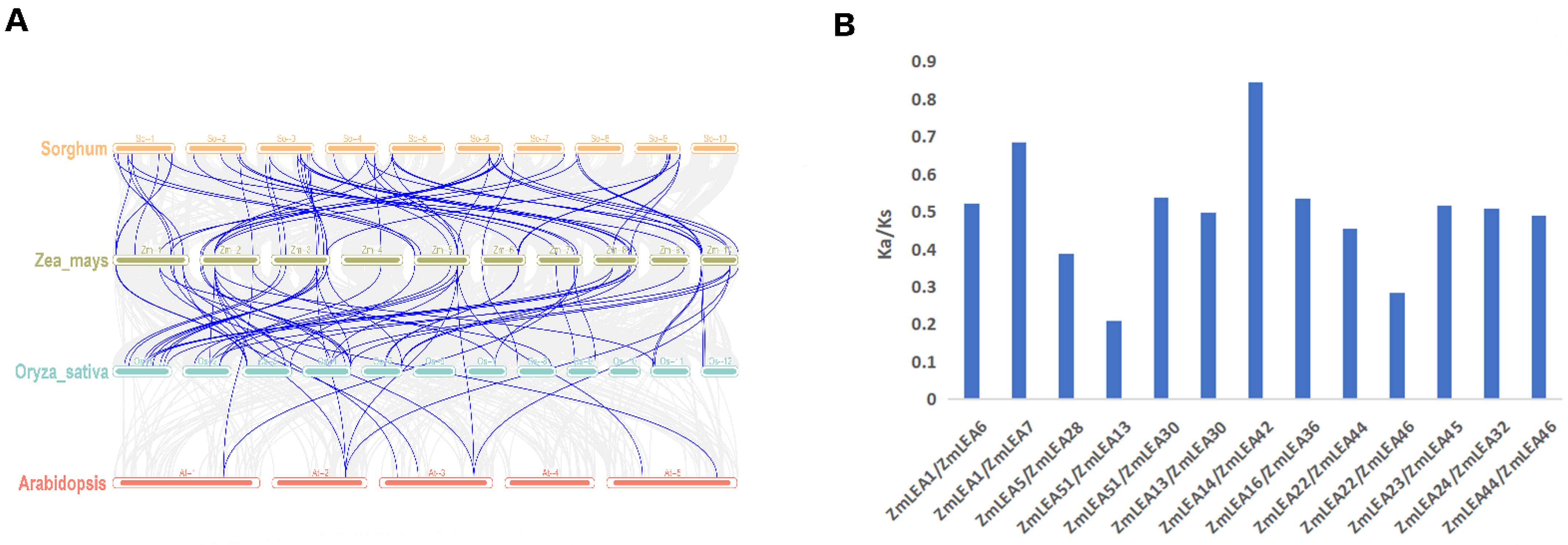 Plants 12 03674 g003 Plants 12 03674 g003