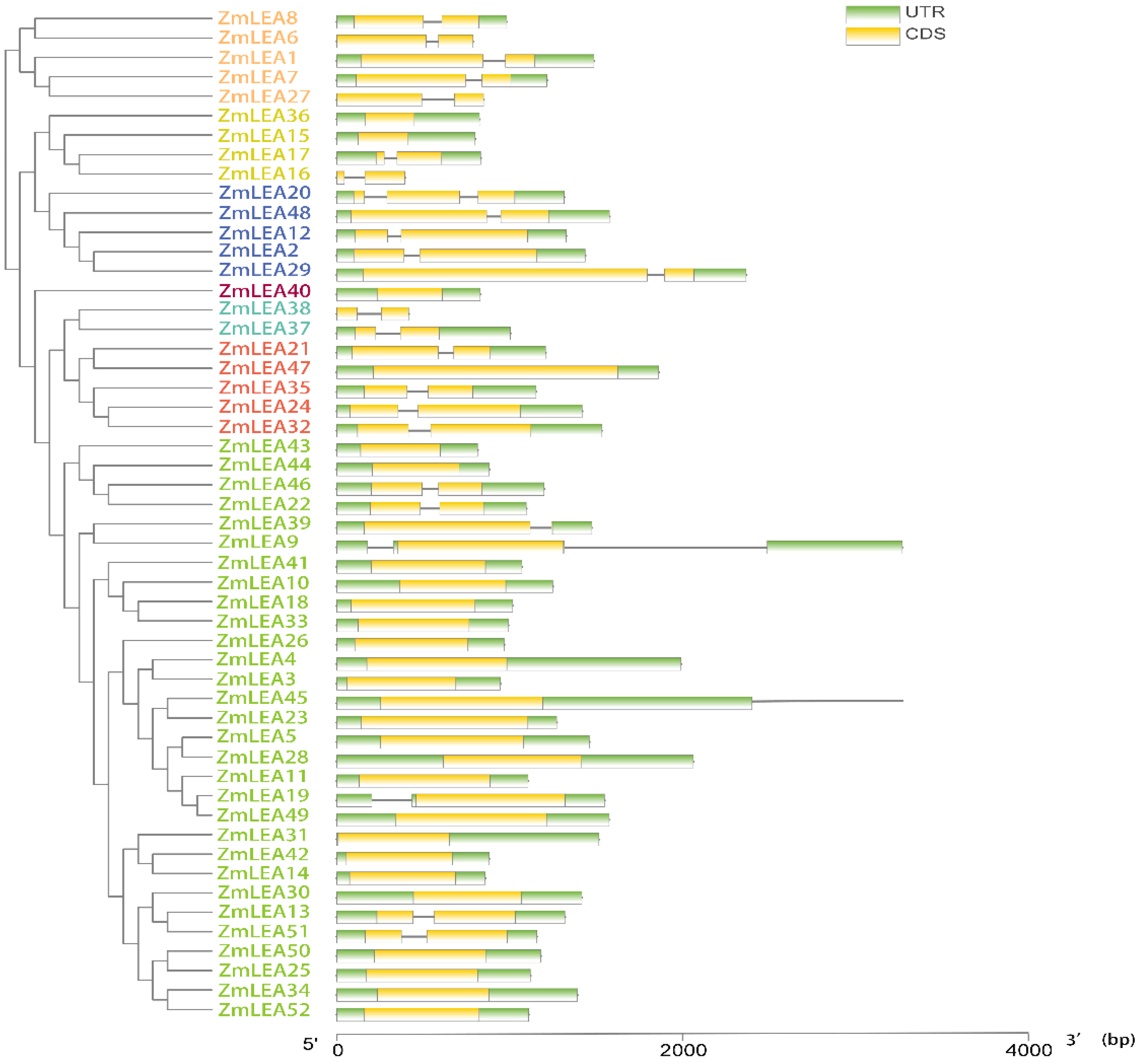 Plants 12 03674 g005 Plants 12 03674 g005