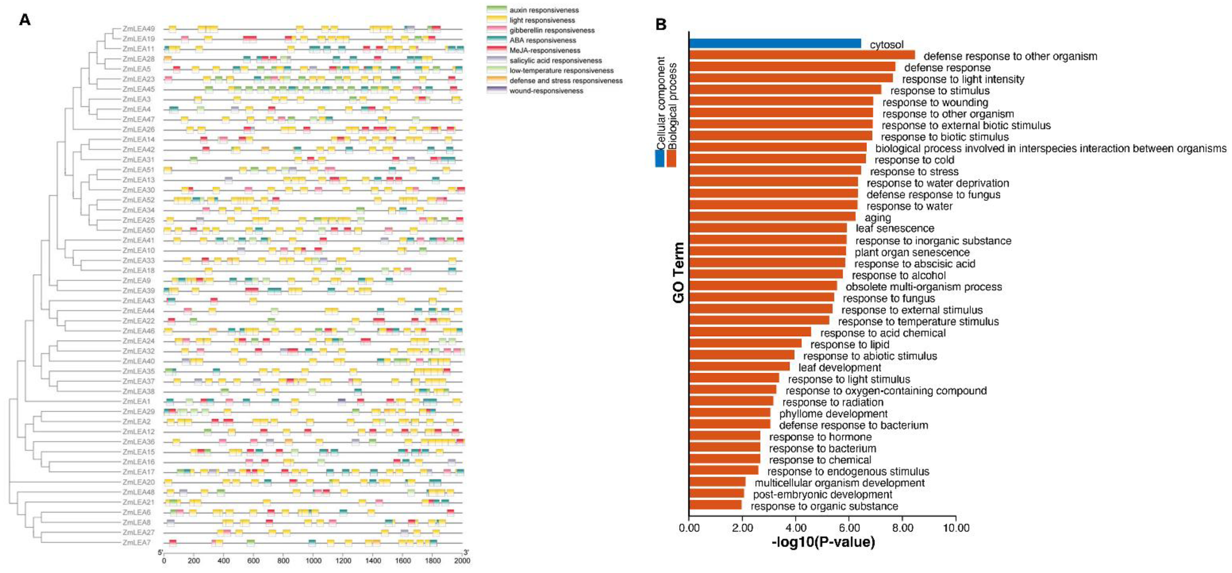 Plants 12 03674 g007 Plants 12 03674 g007