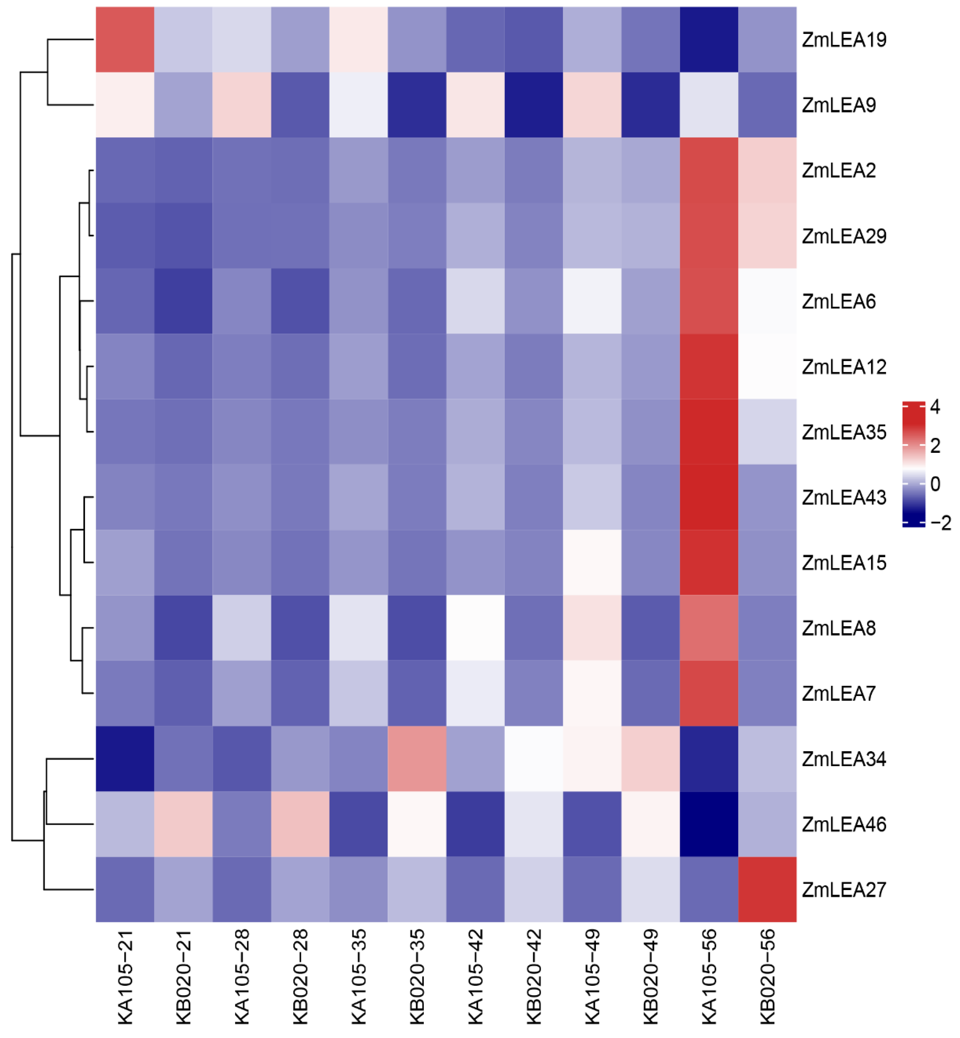 Plants 12 03674 g008 Plants 12 03674 g008