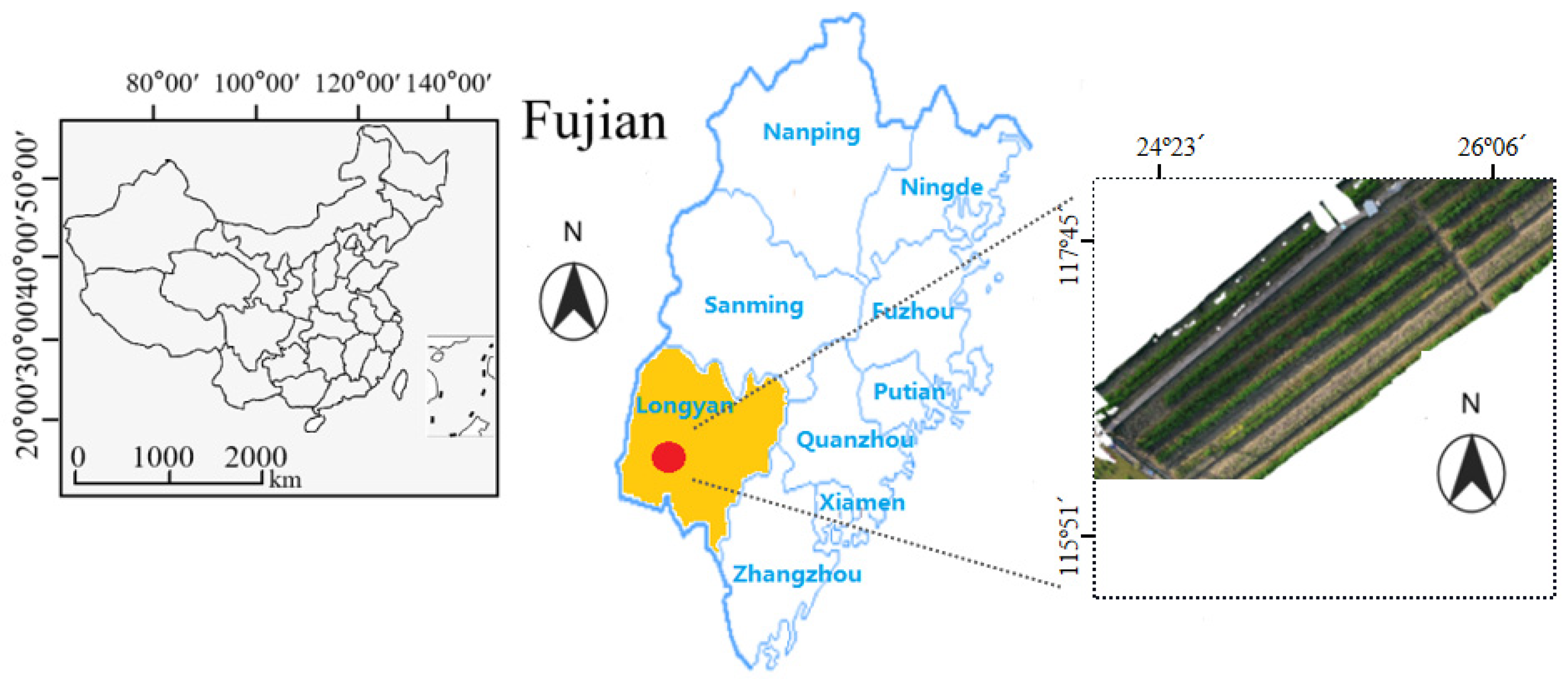 Plants 12 03675 g001