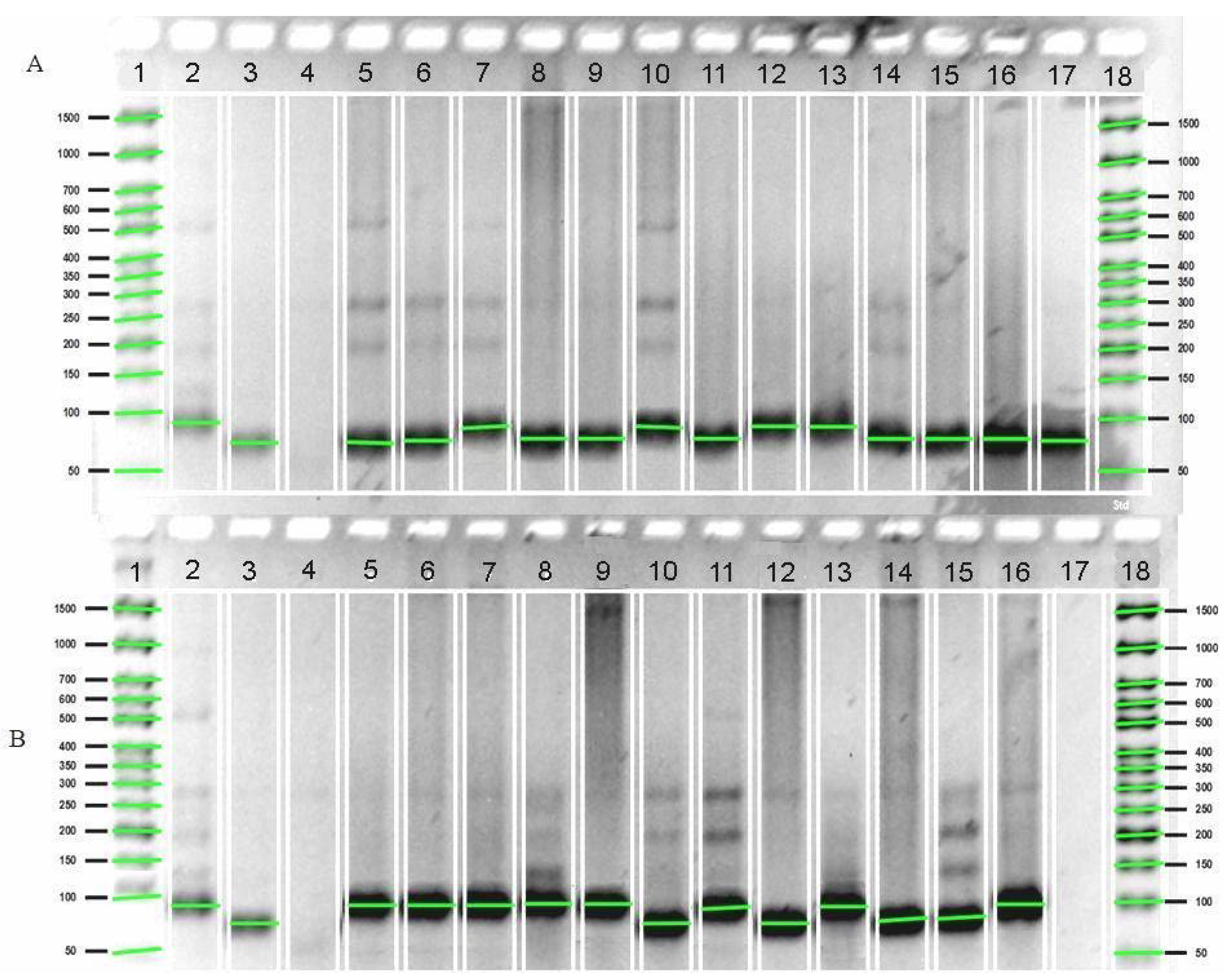 Plants 12 03681 g003