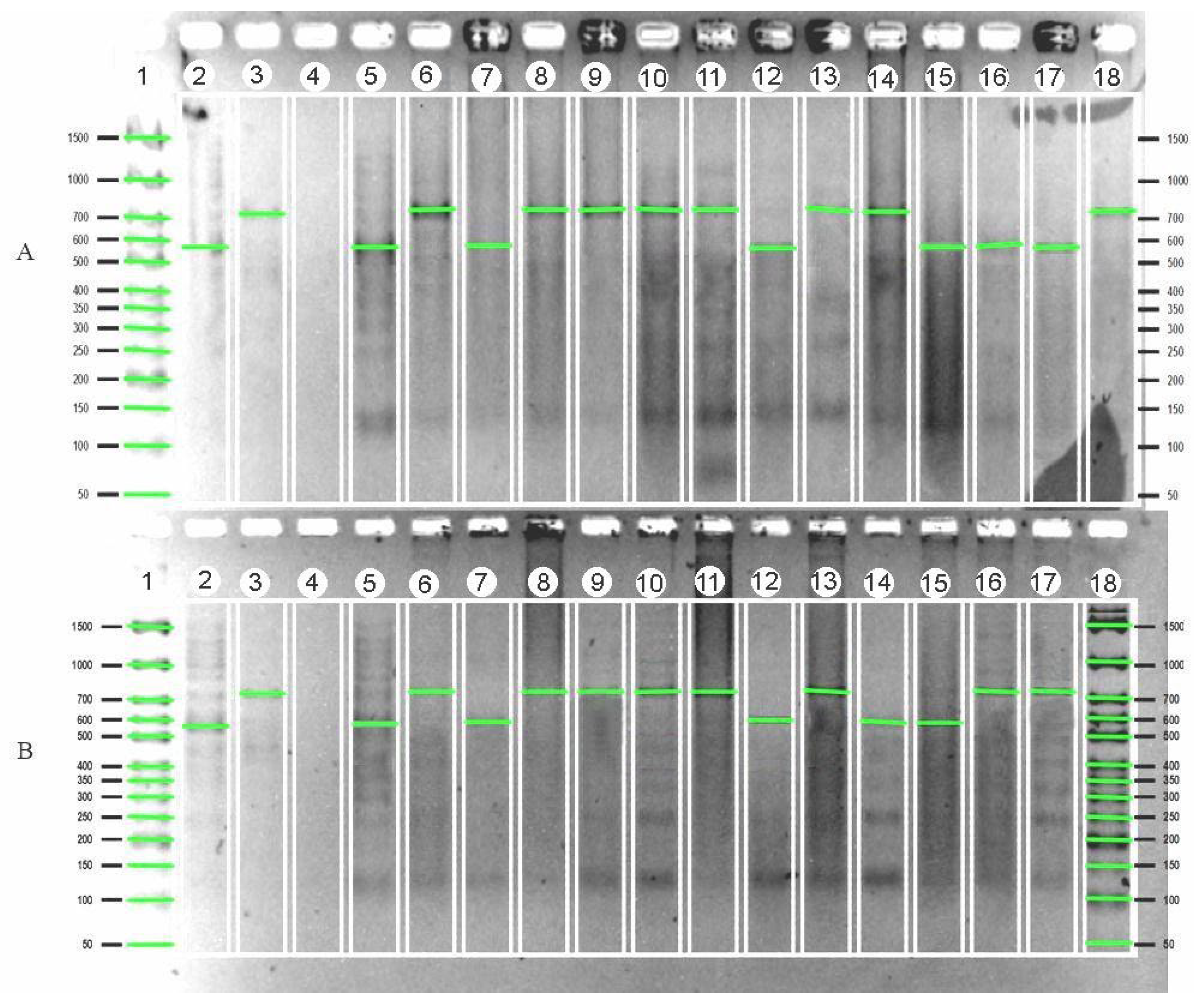 Plants 12 03681 g004