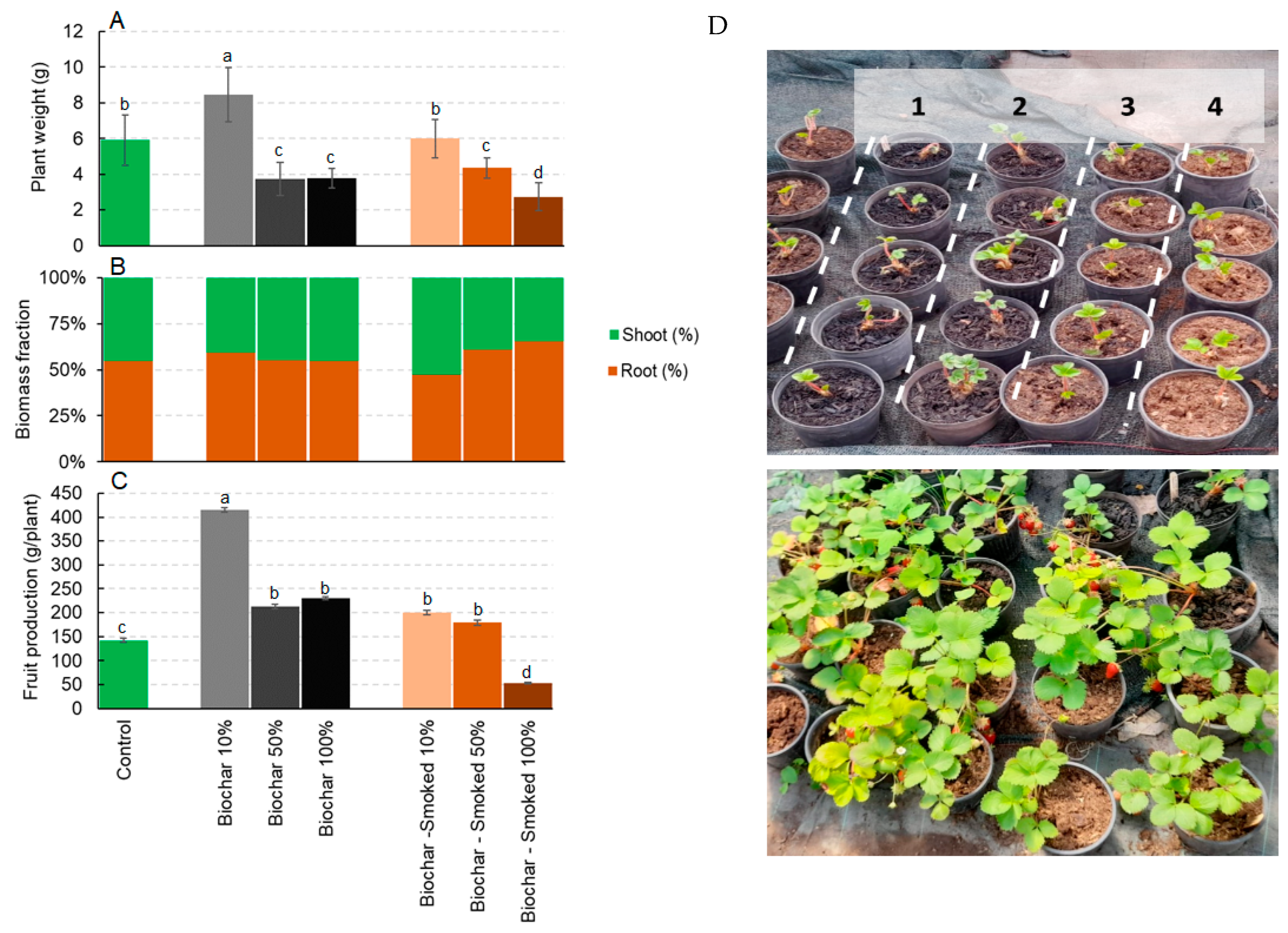 Plants 12 03689 g003