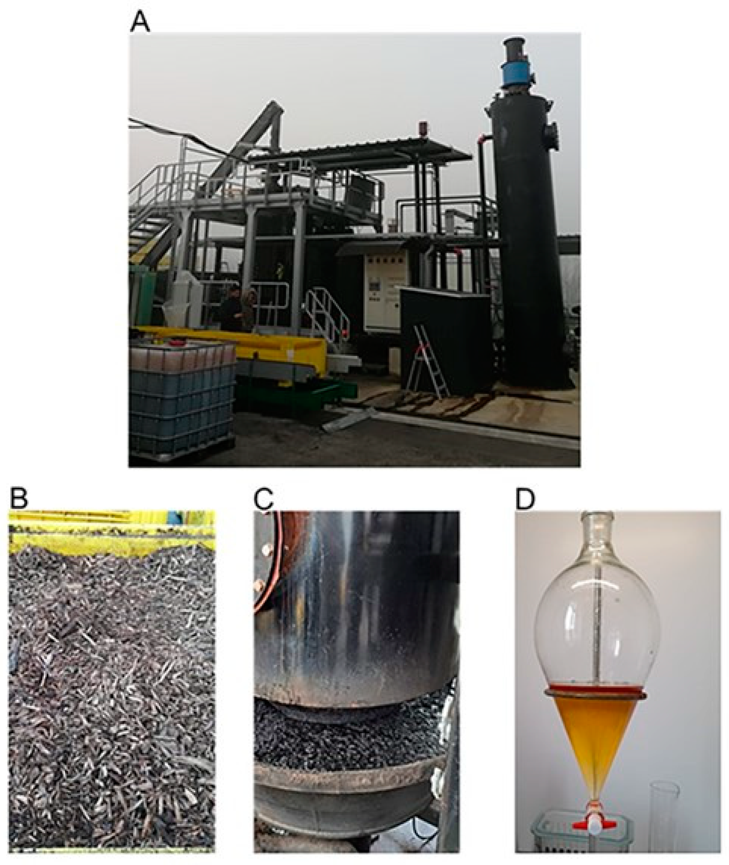 Plants 12 03689 g004