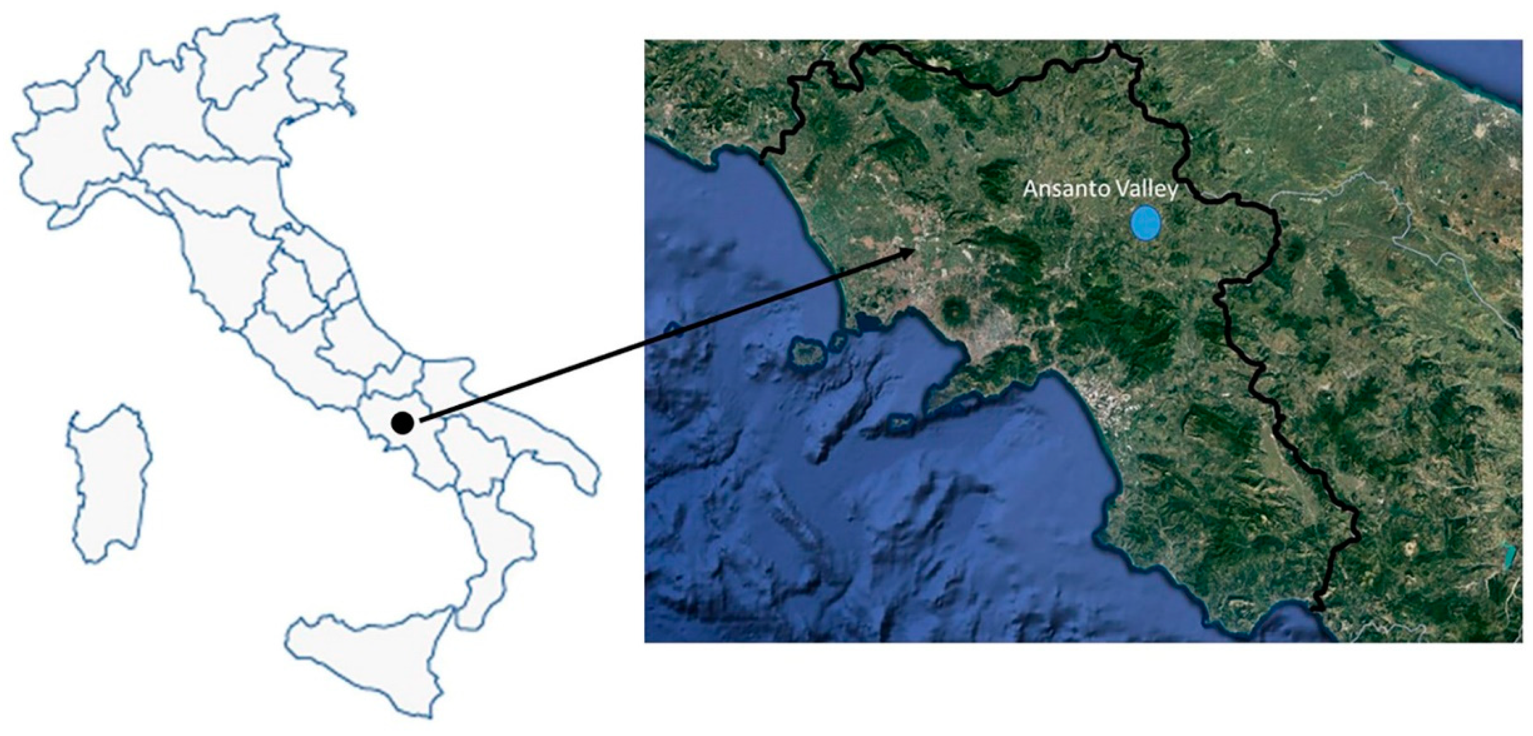 Plants 12 03690 g004 Plants 12 03690 g004