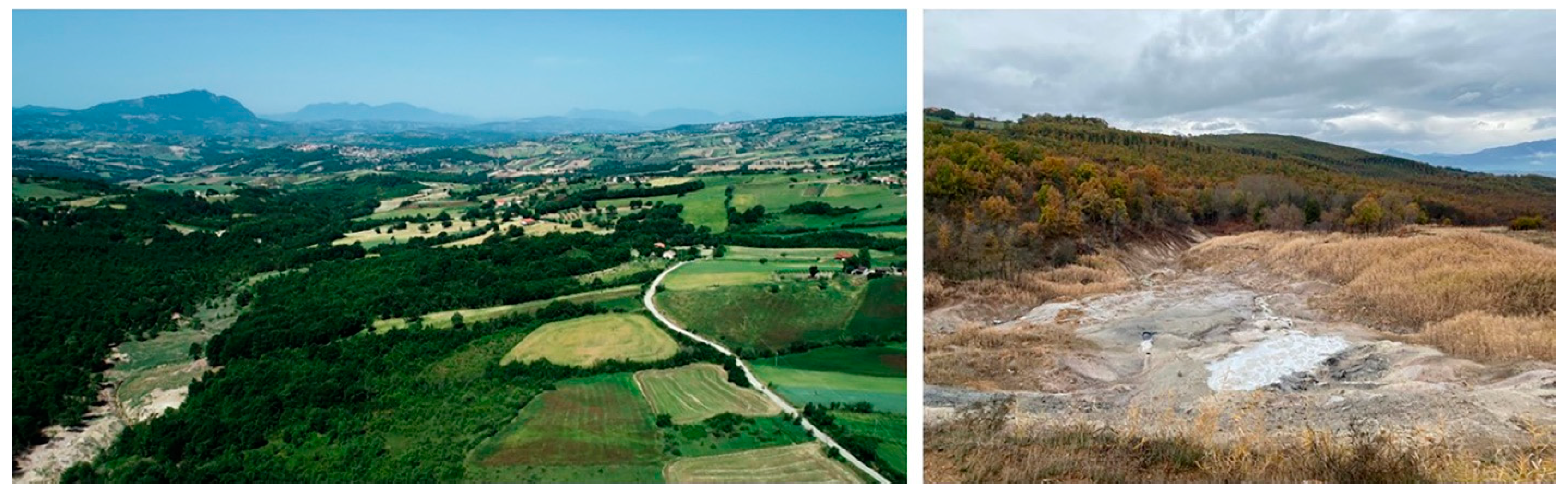 Plants 12 03690 g005 Plants 12 03690 g005