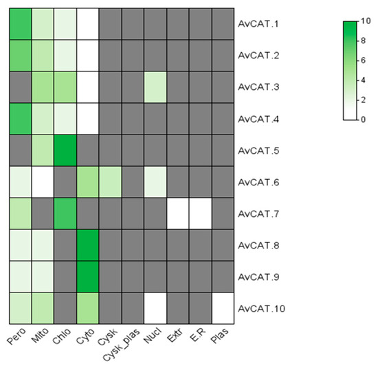 Genome-Wide Investigation and Expression Analysis of the Catalase