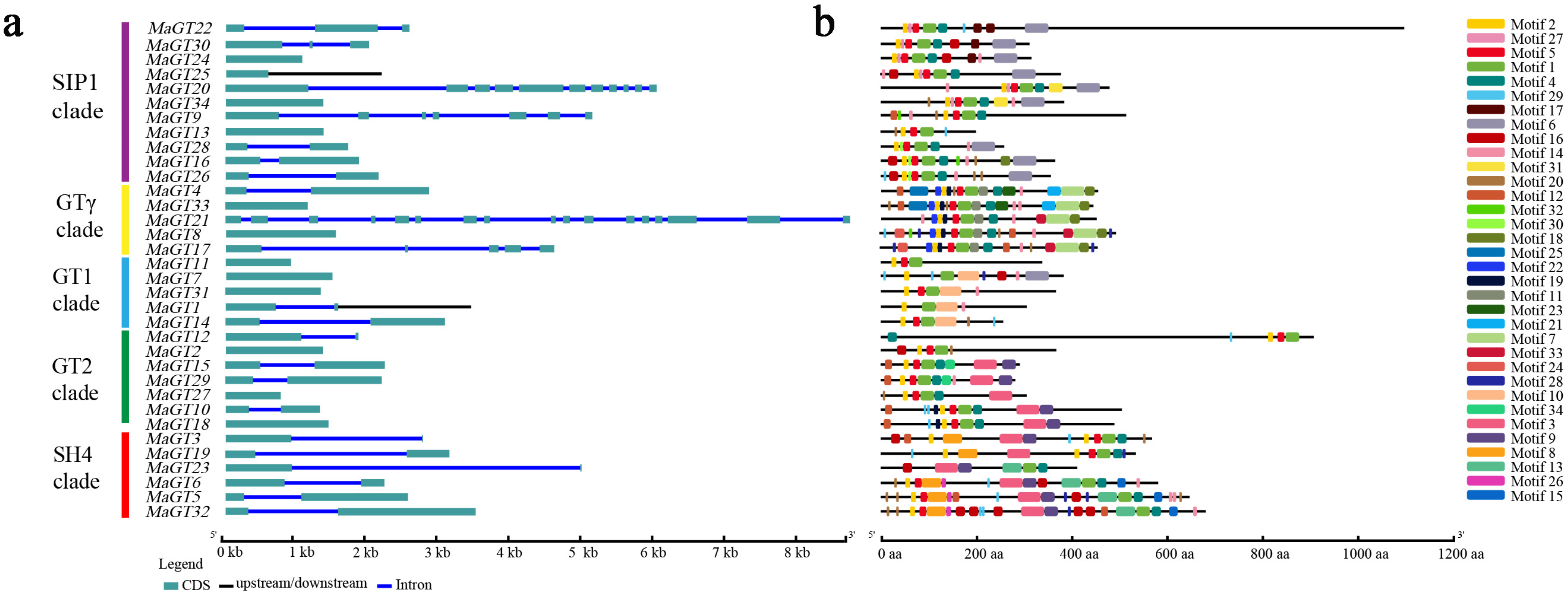 Plants 12 03696 g003