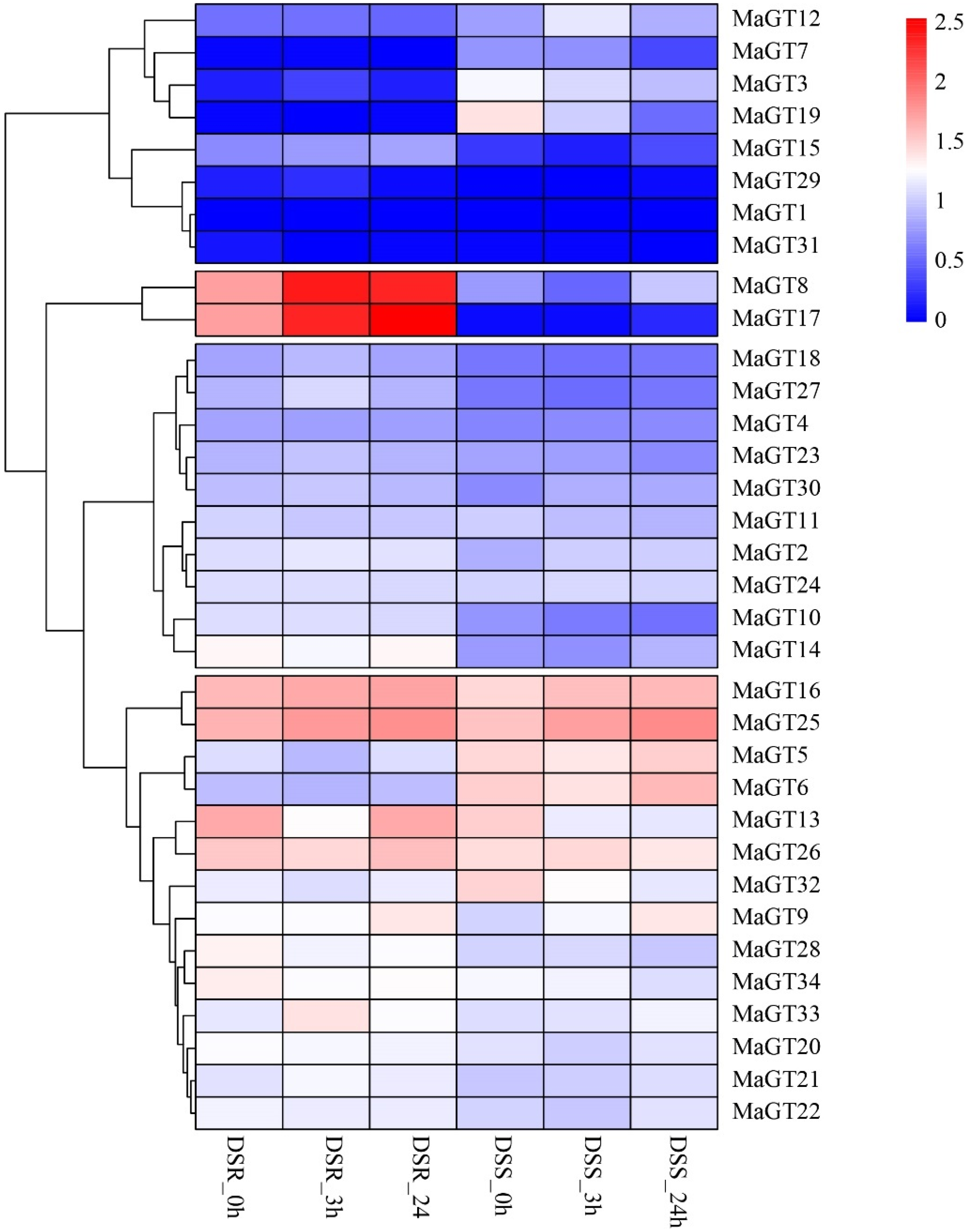 Plants 12 03696 g007
