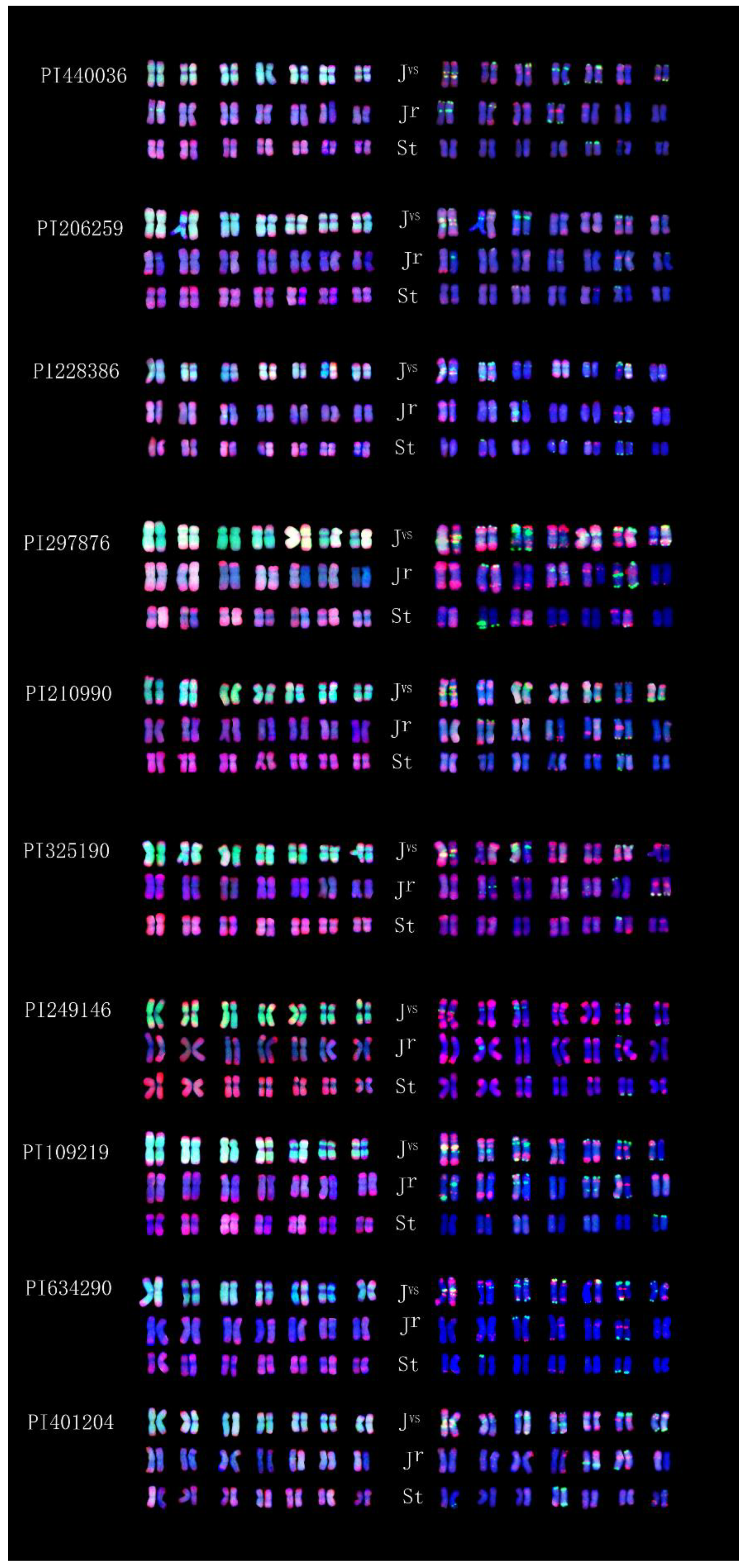 Plants 12 03705 g002