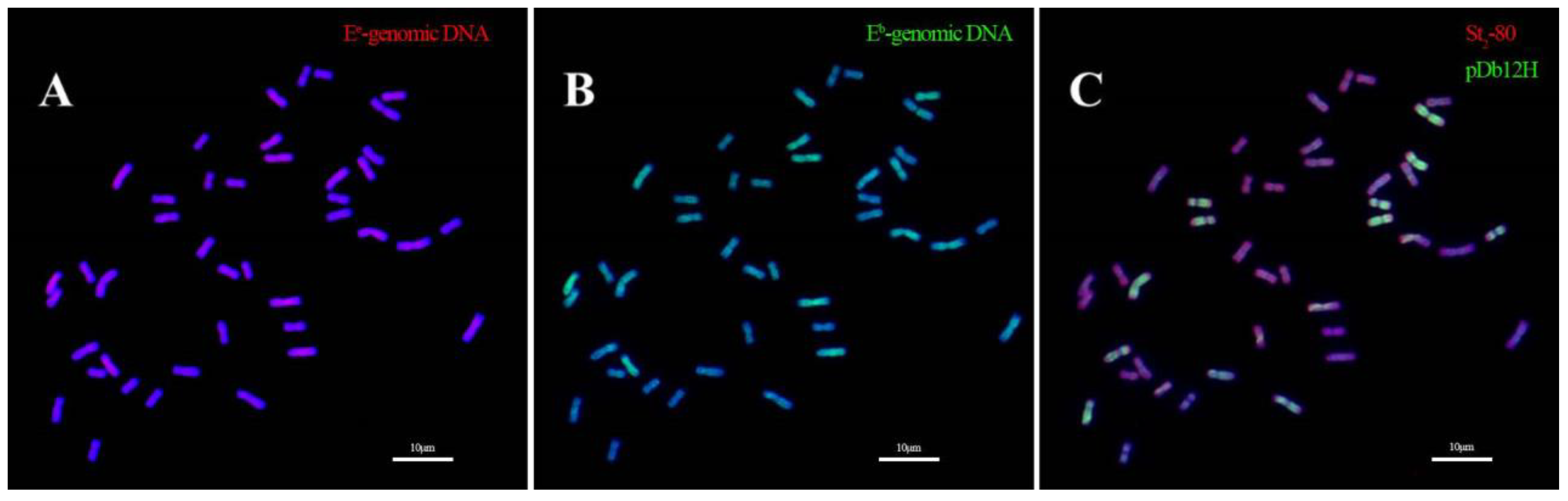 Plants 12 03705 g007