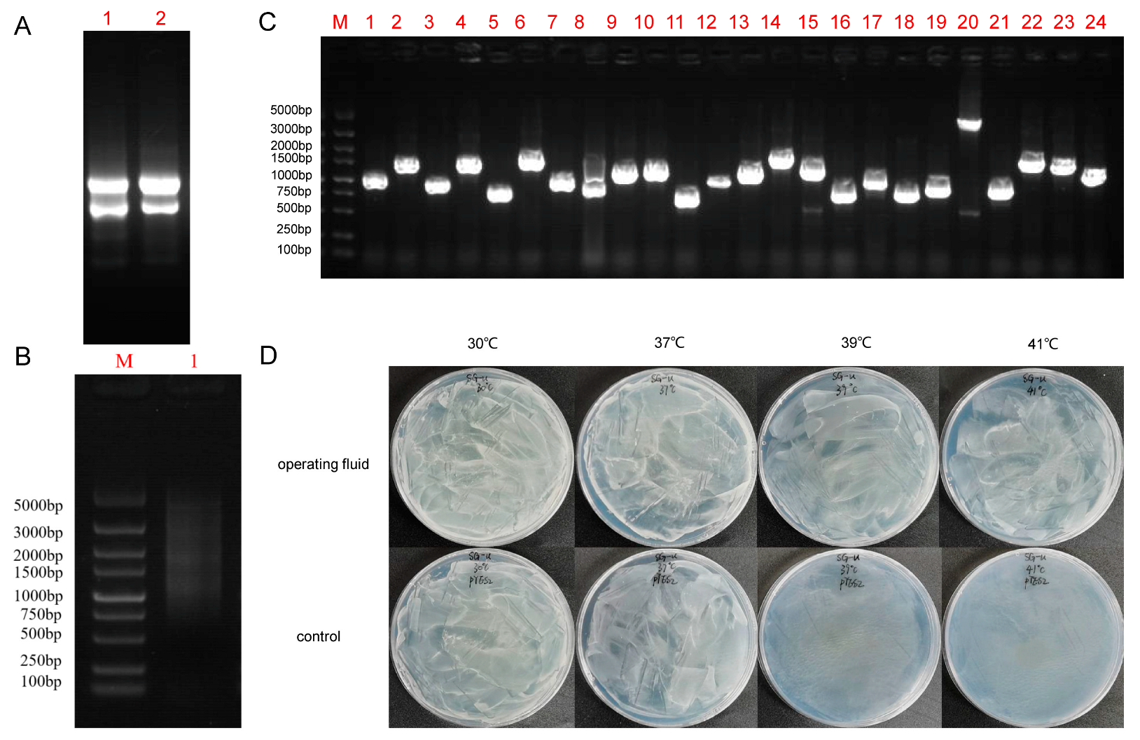 Plants 12 03712 g001