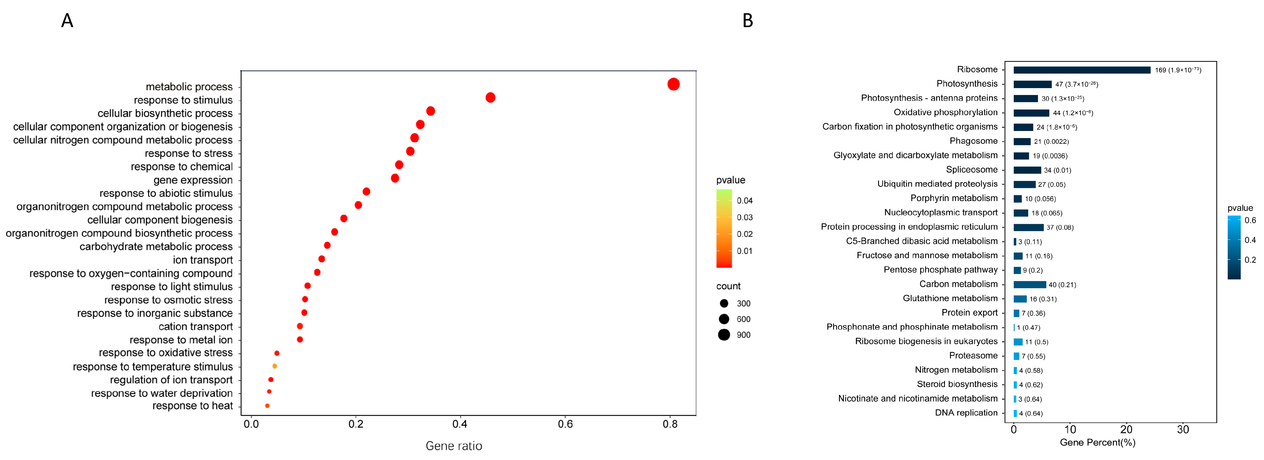 Plants 12 03712 g002