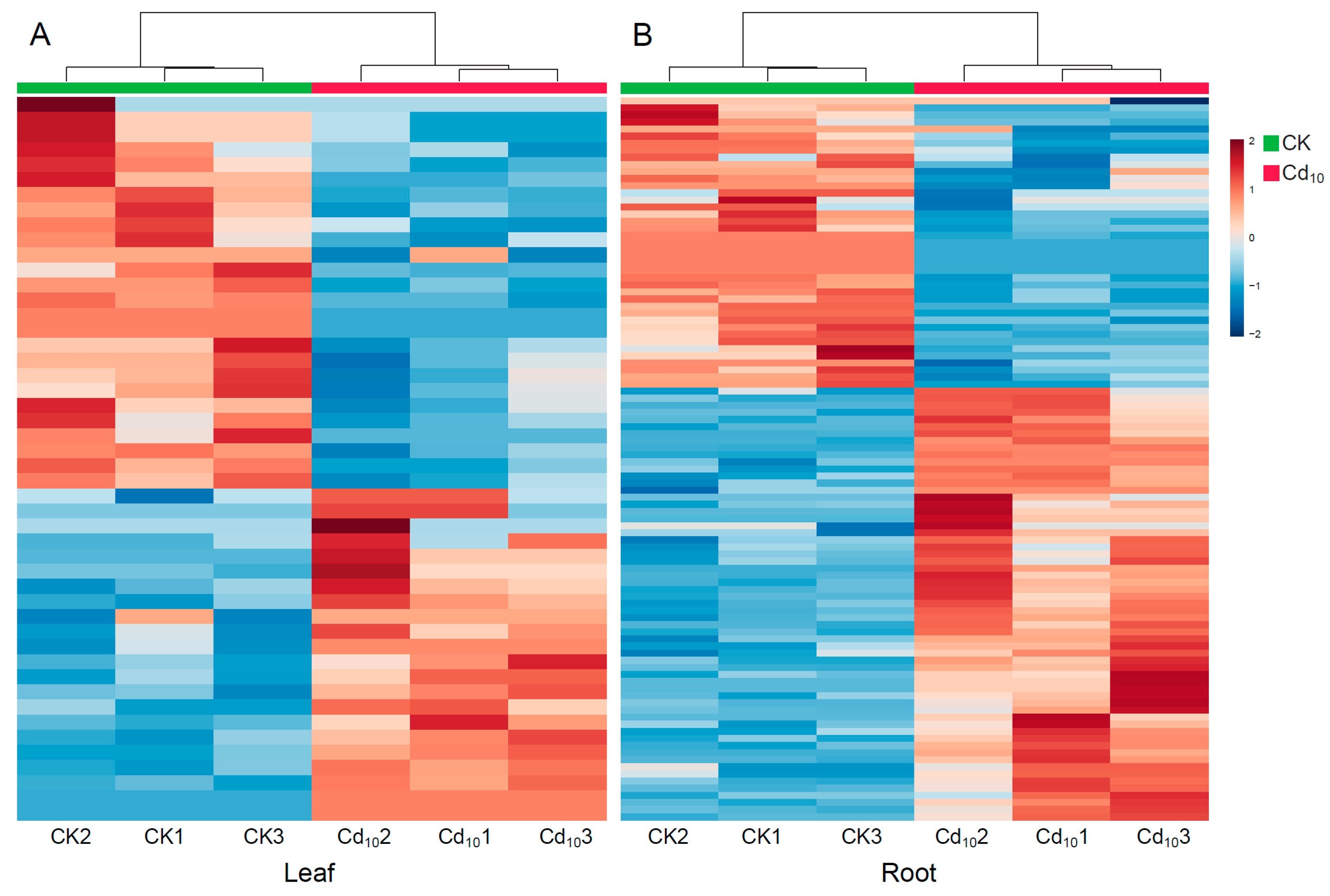 Plants 12 03713 g003 Plants 12 03713 g003