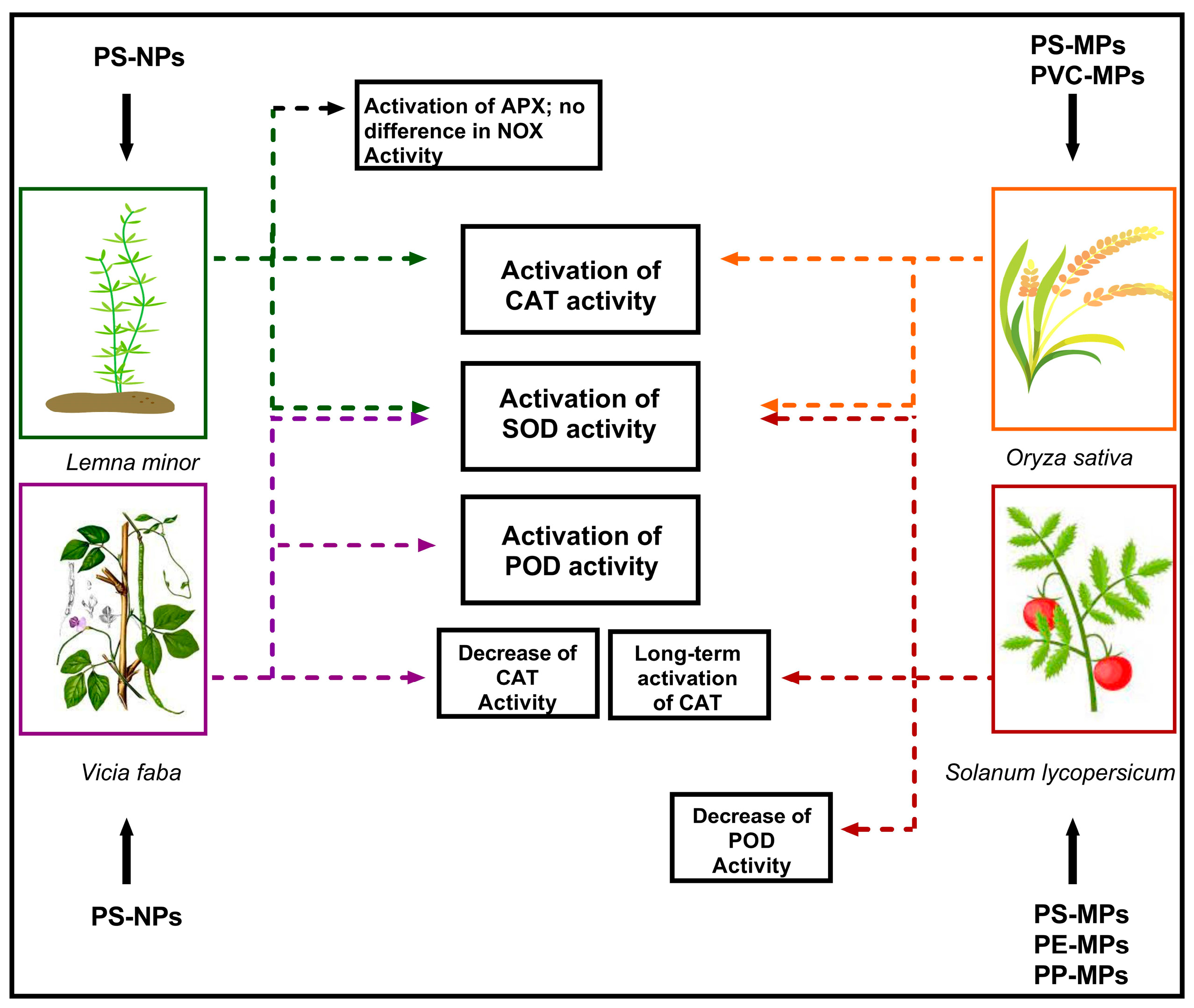 Plants 12 03717 g001