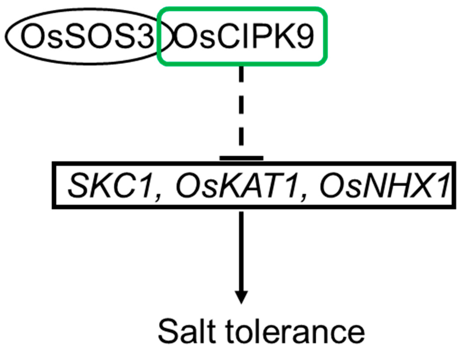 Plants 12 03723 g008