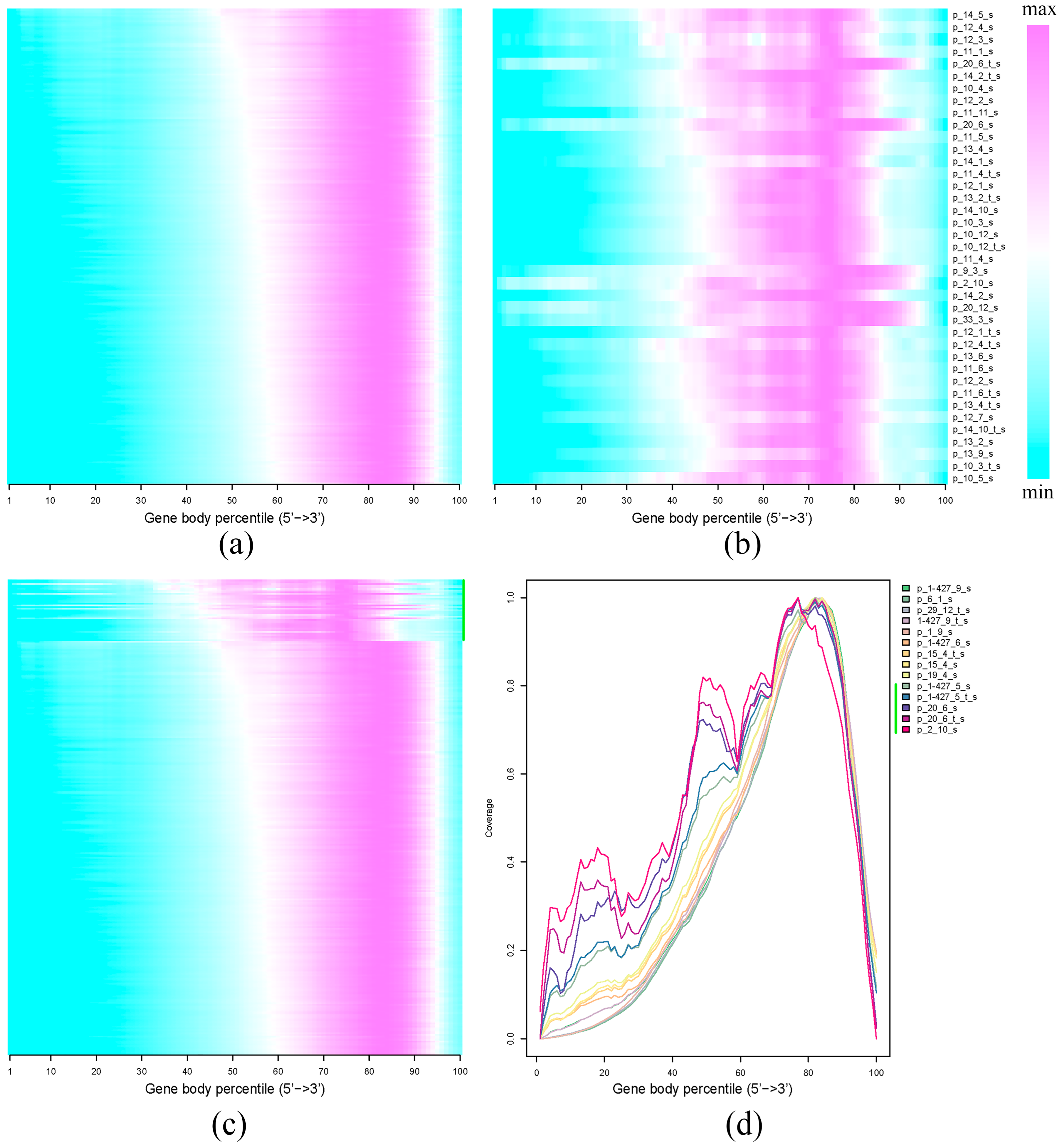 Plants 12 03725 g003