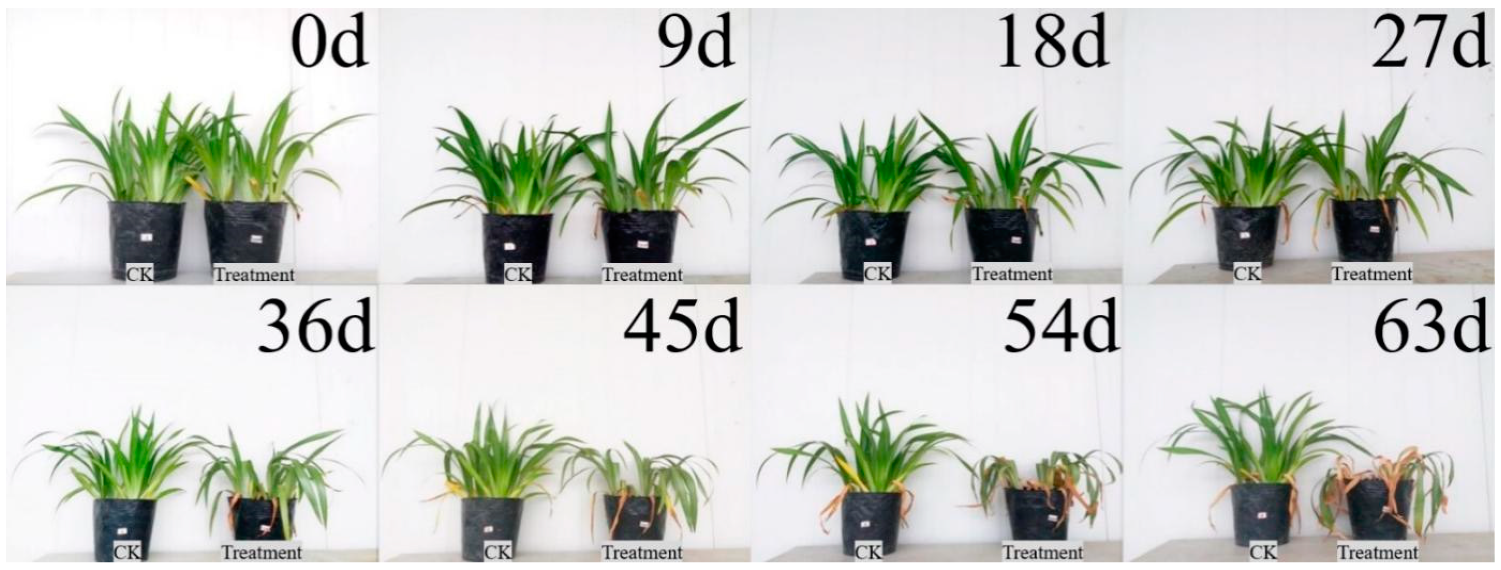 Plants 12 03729 g002