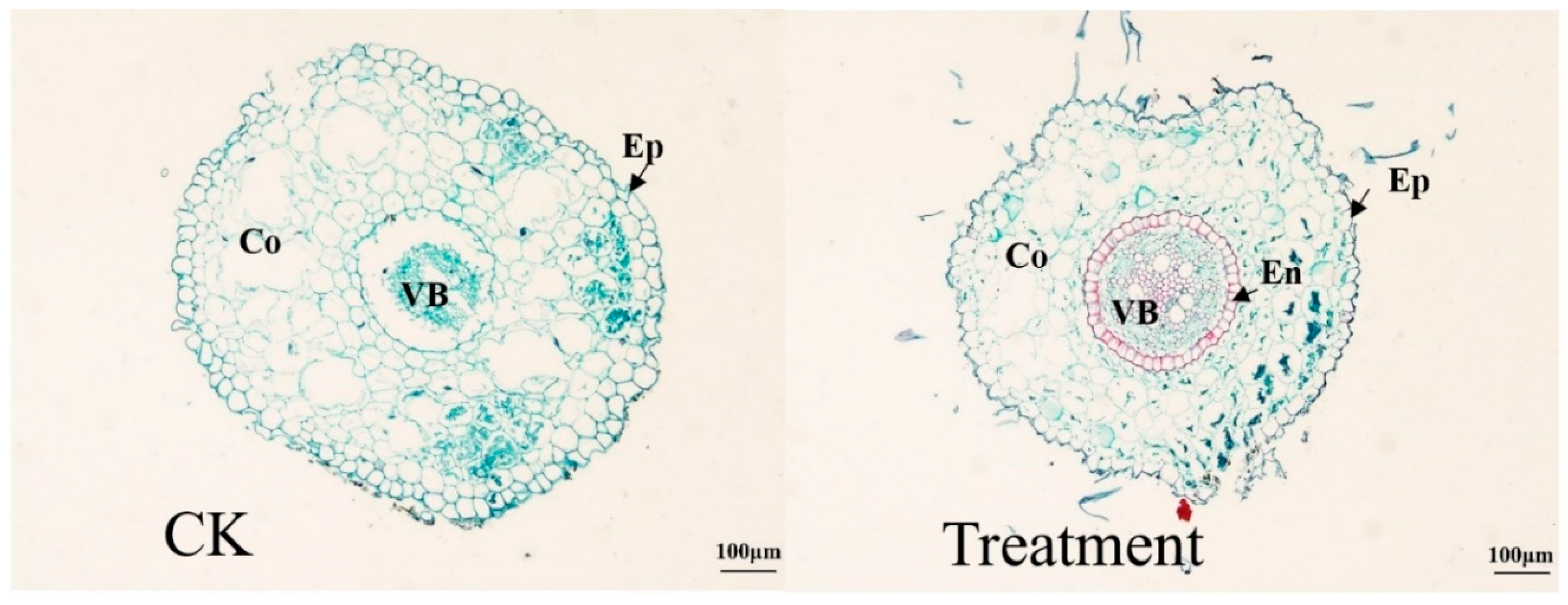 Plants 12 03729 g006