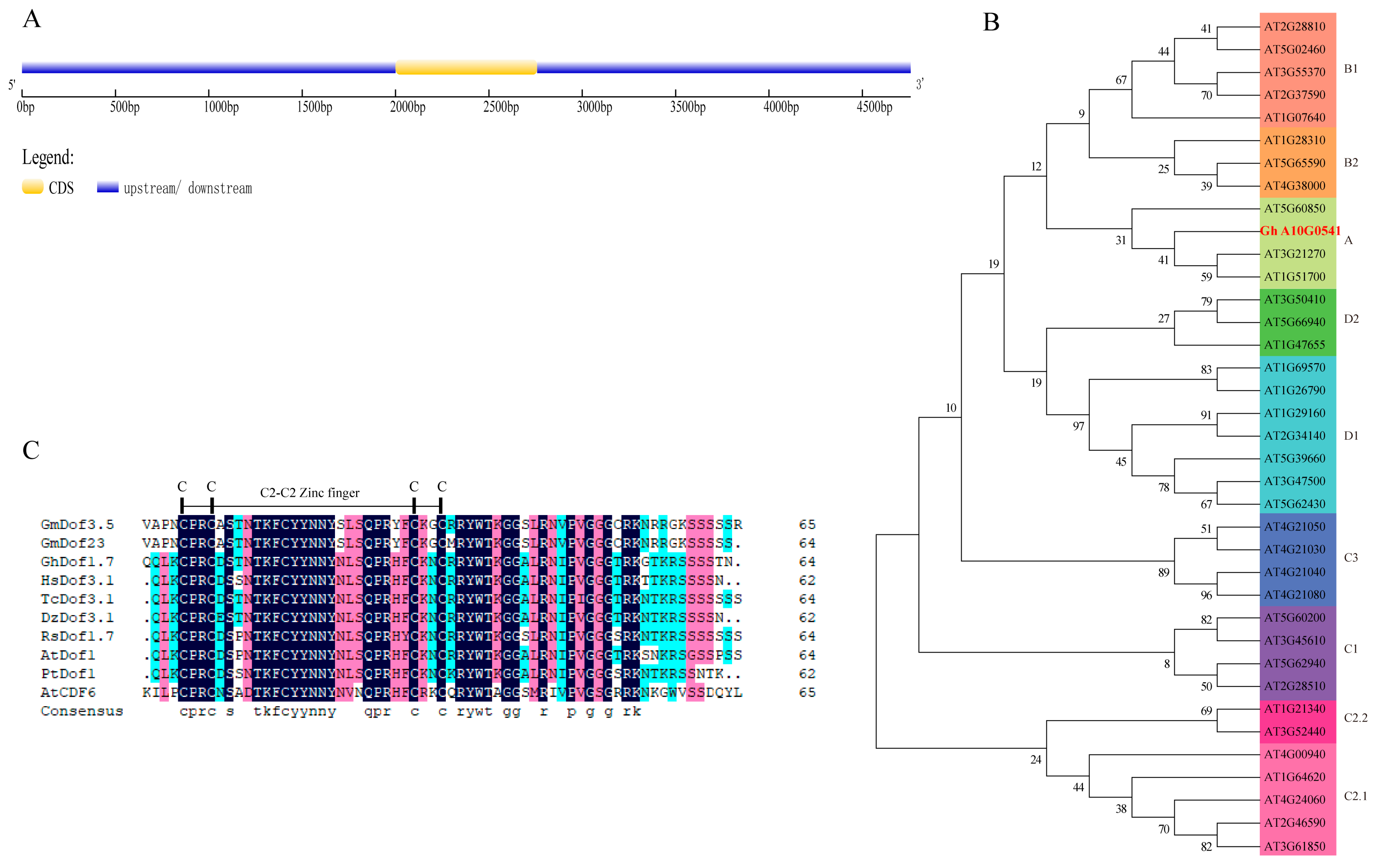 Plants 12 03740 g001
