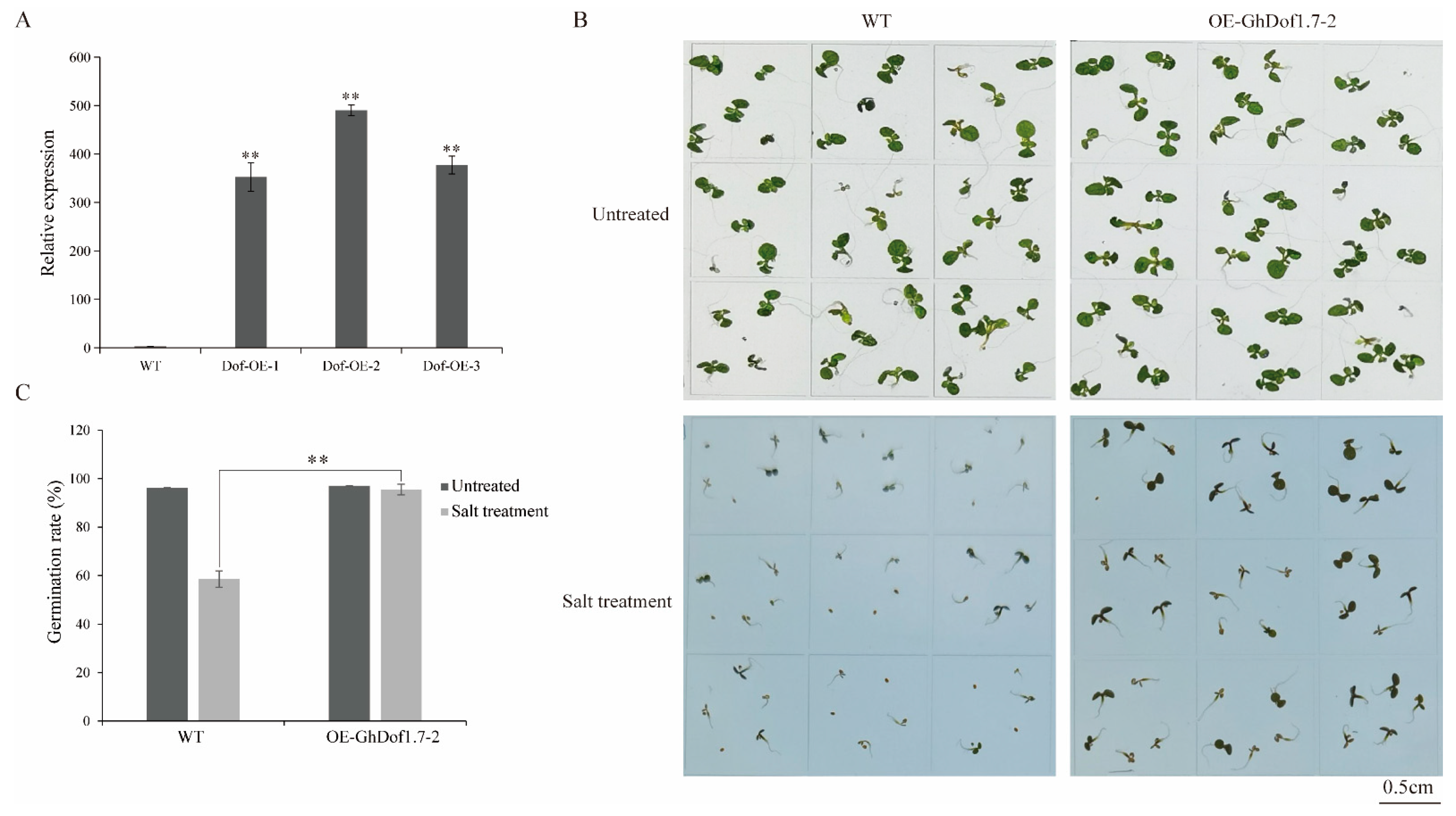 Plants 12 03740 g005