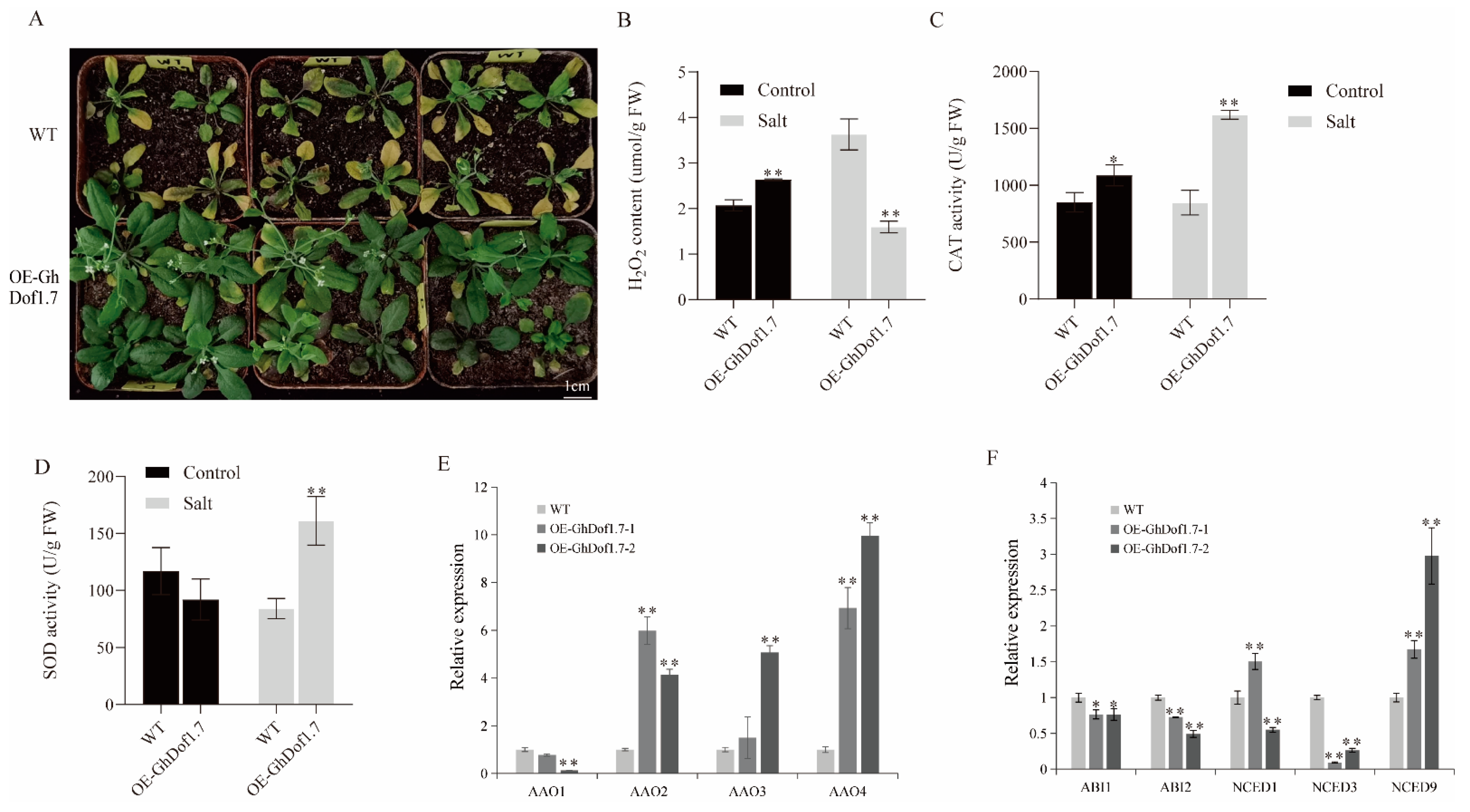 Plants 12 03740 g006
