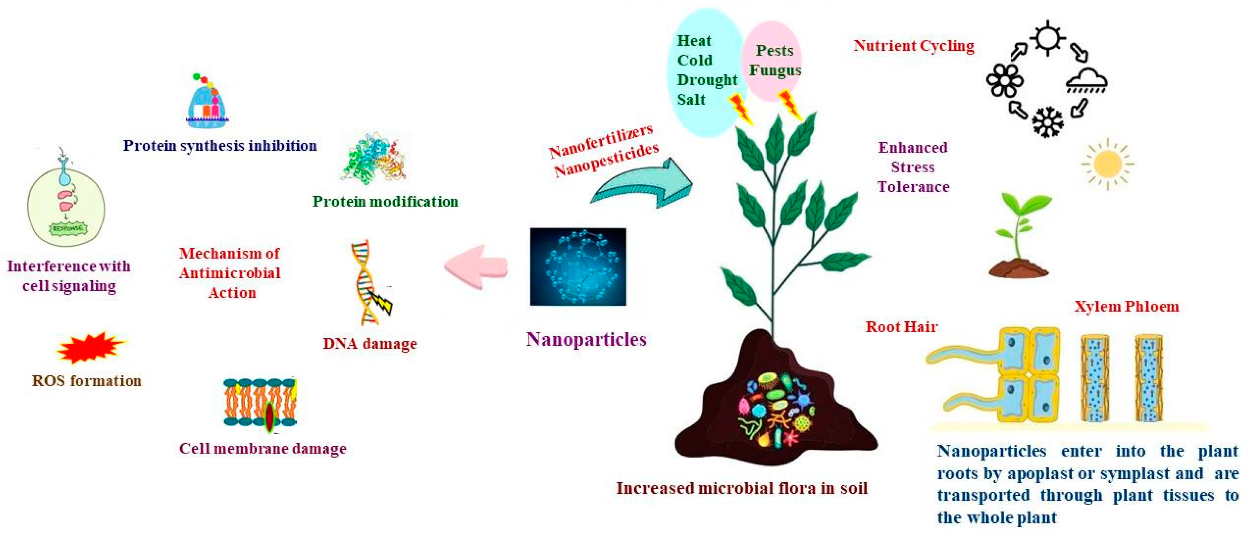 Plants 12 03744 g001 Plants 12 03744 g001
