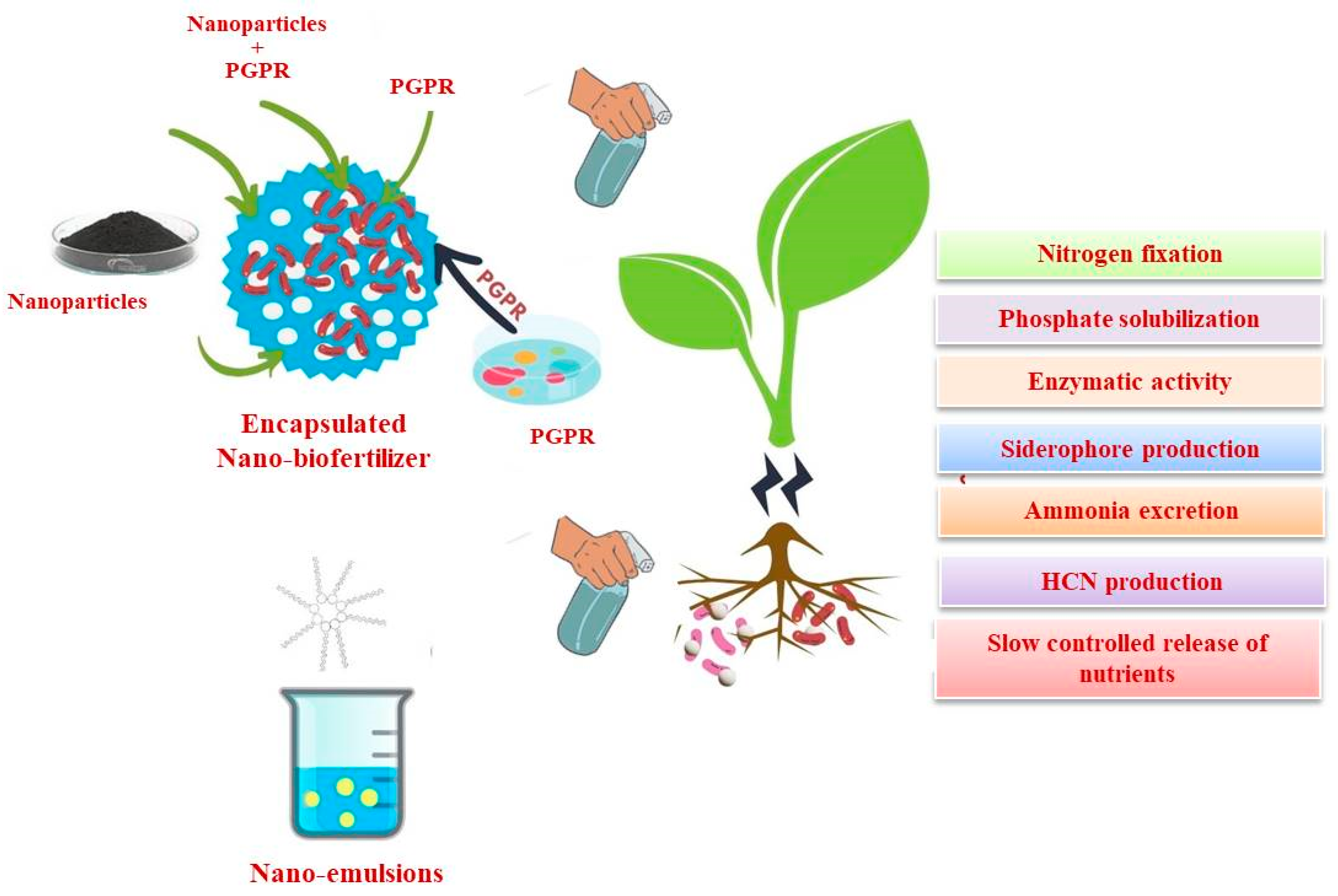 Plants 12 03744 g002 Plants 12 03744 g002