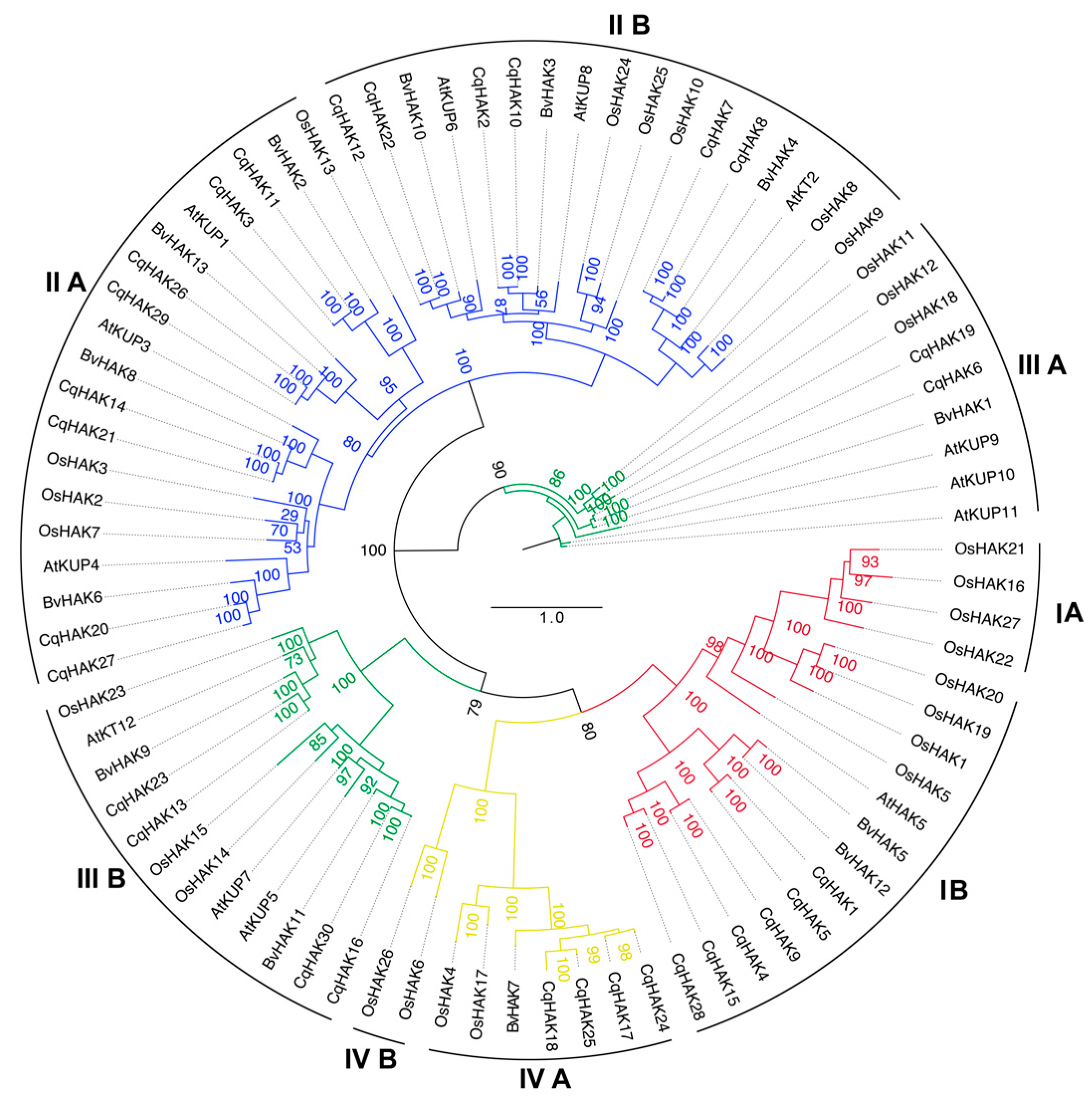 Plants 12 03747 g001