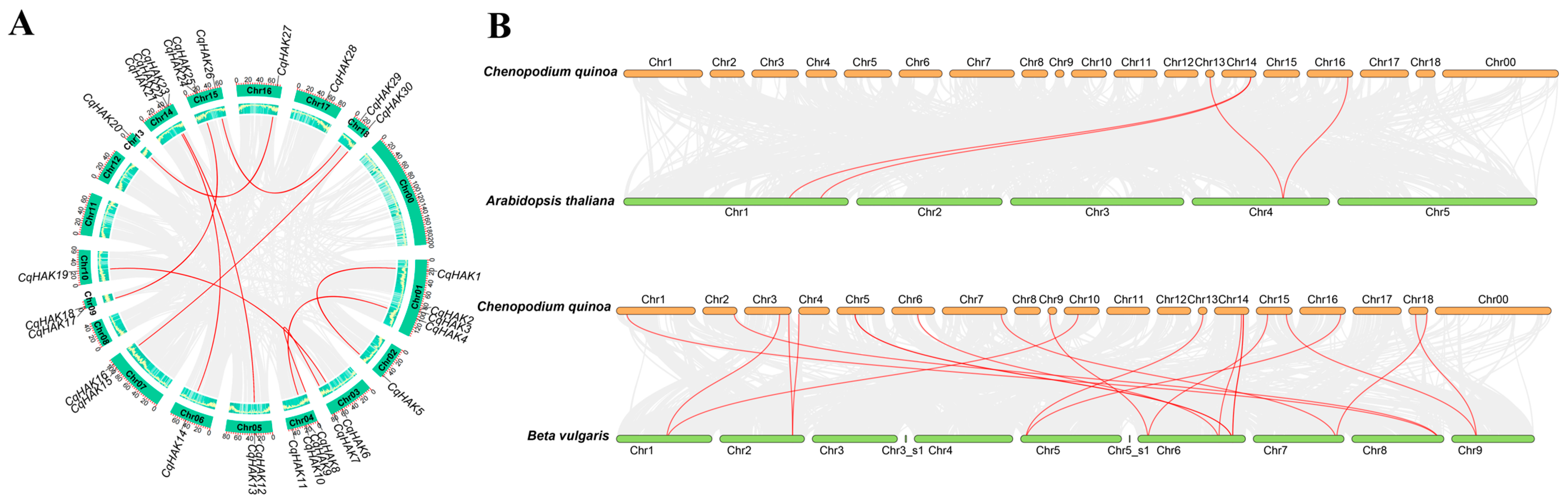 Plants 12 03747 g003