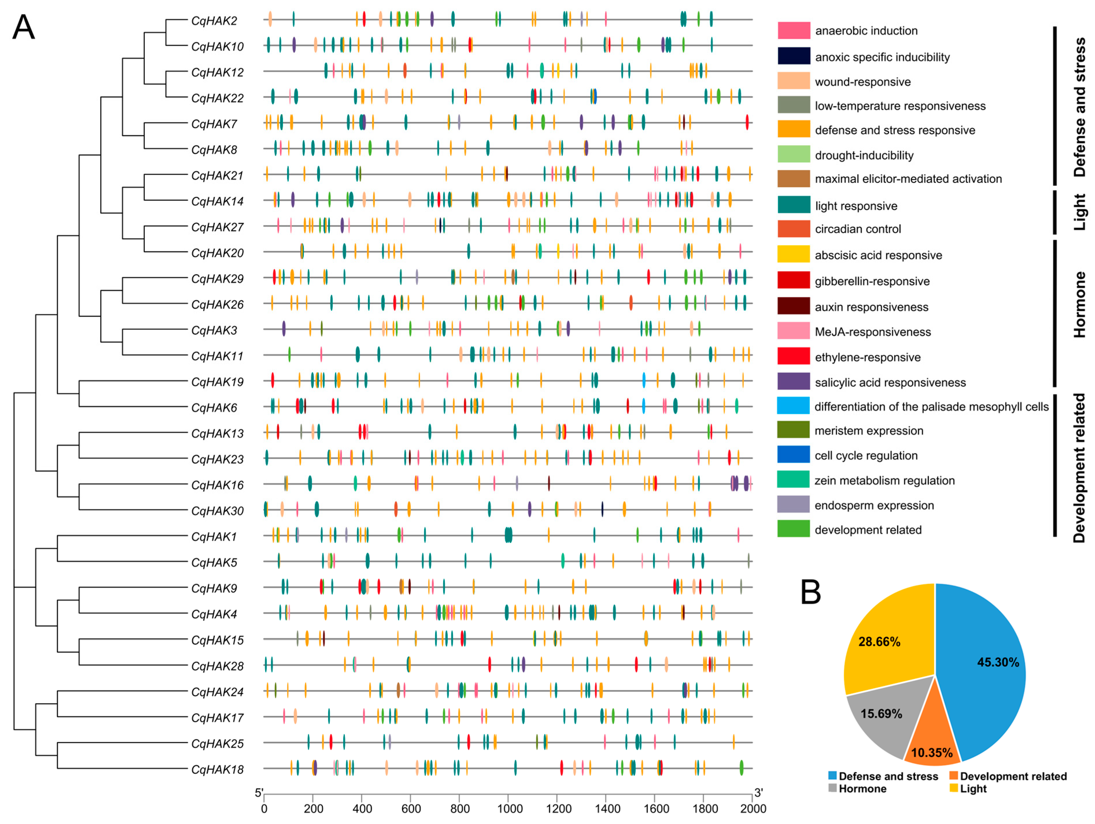 Plants 12 03747 g004