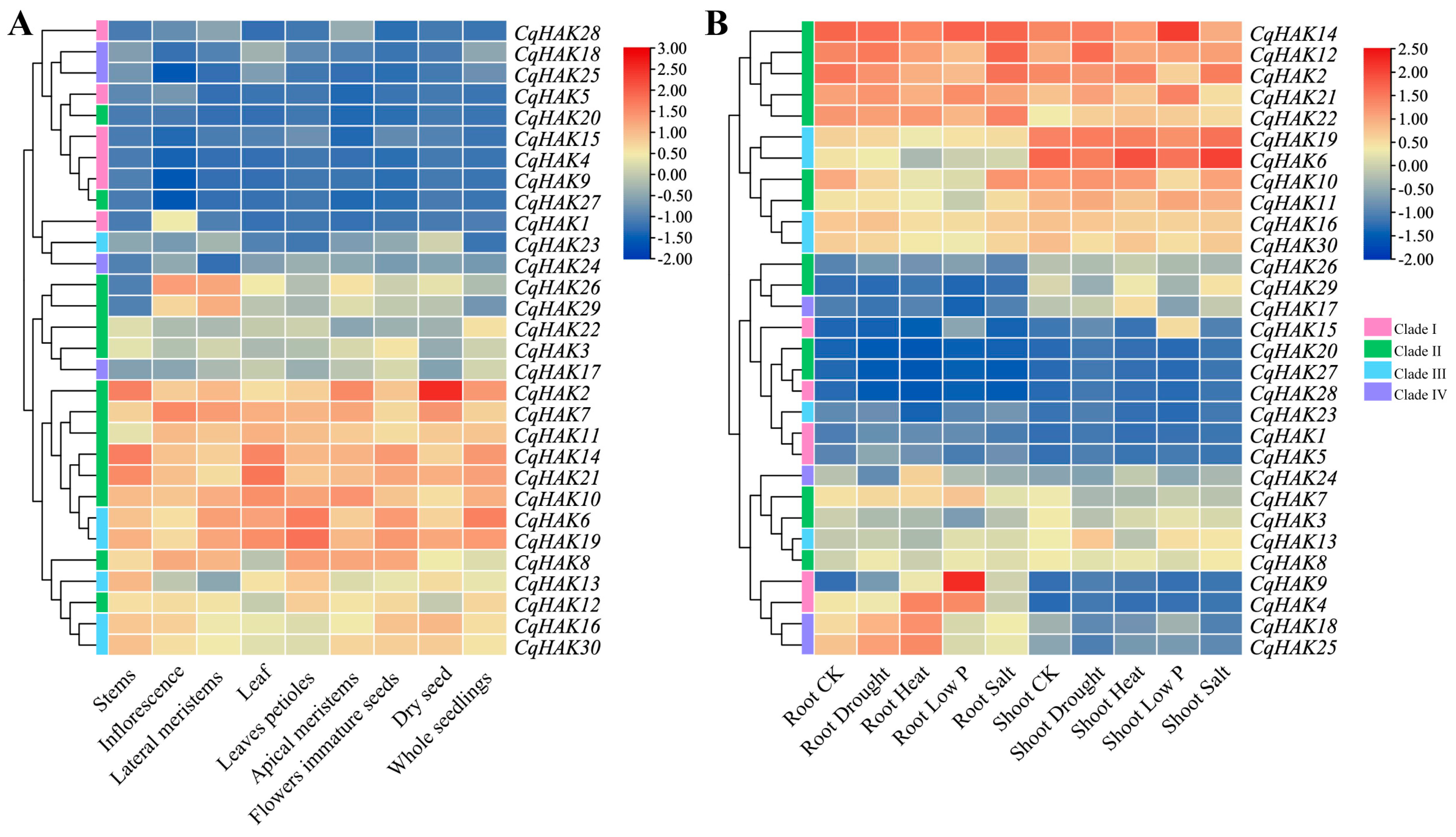 Plants 12 03747 g005