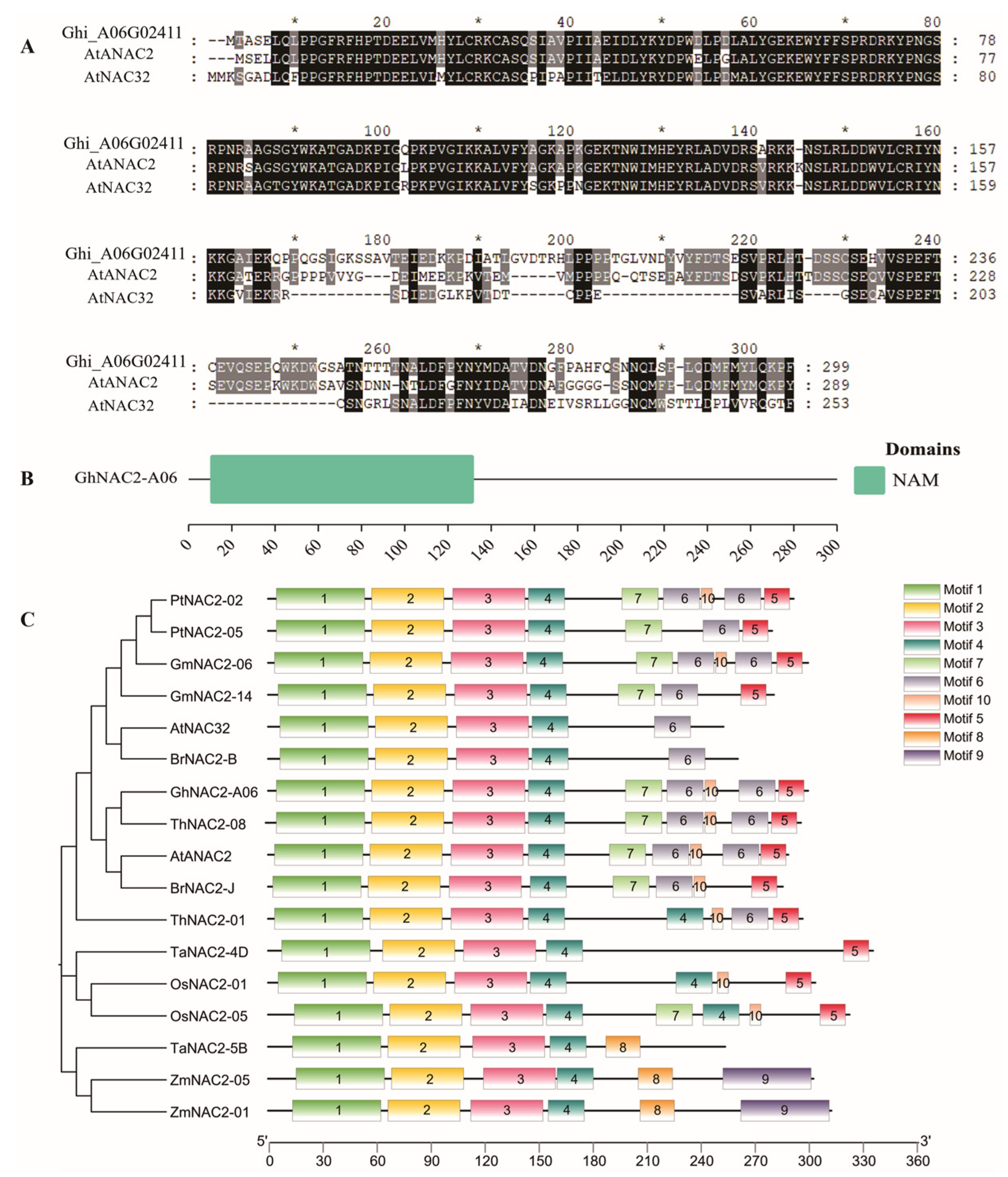 Plants 12 03755 g001