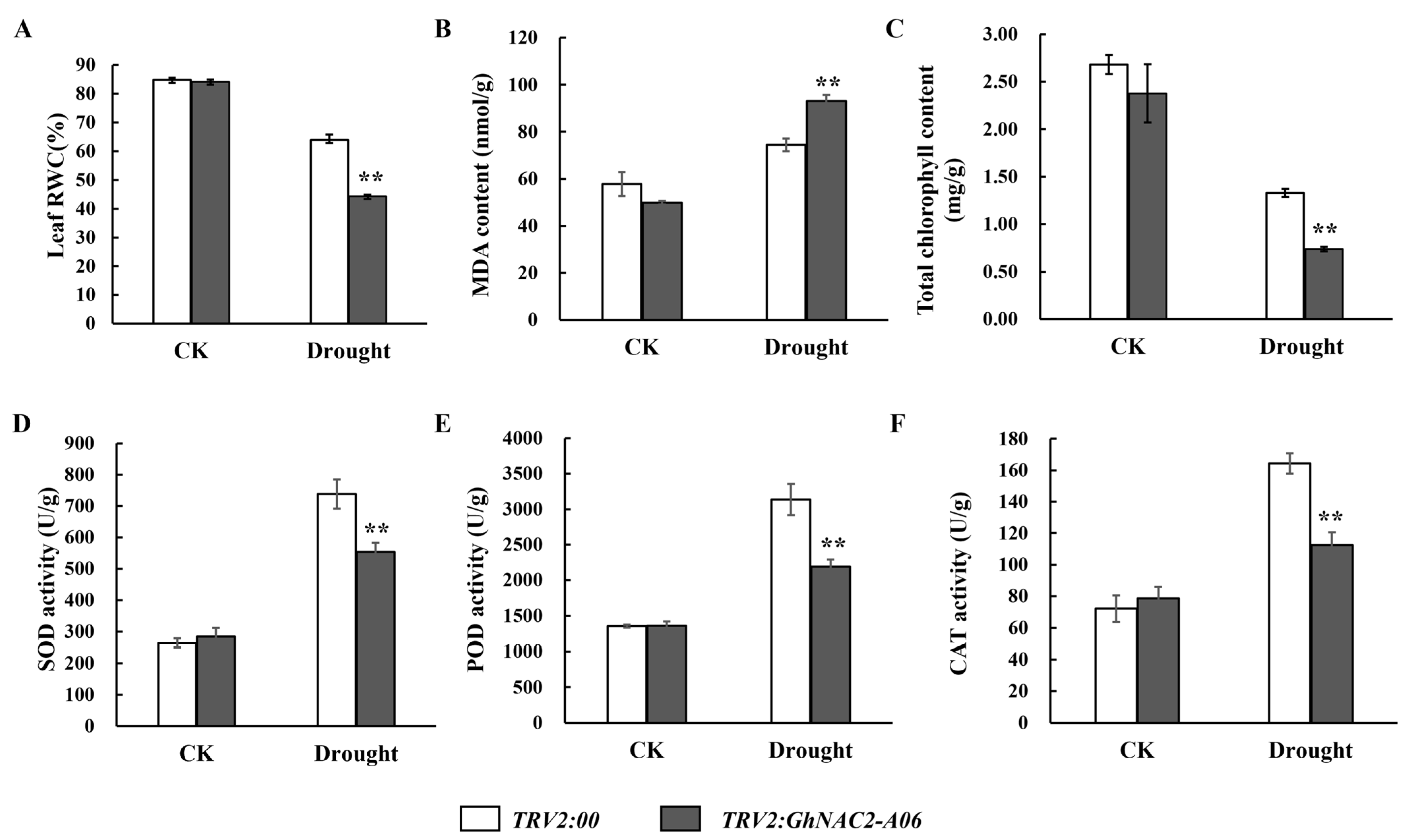 Plants 12 03755 g004