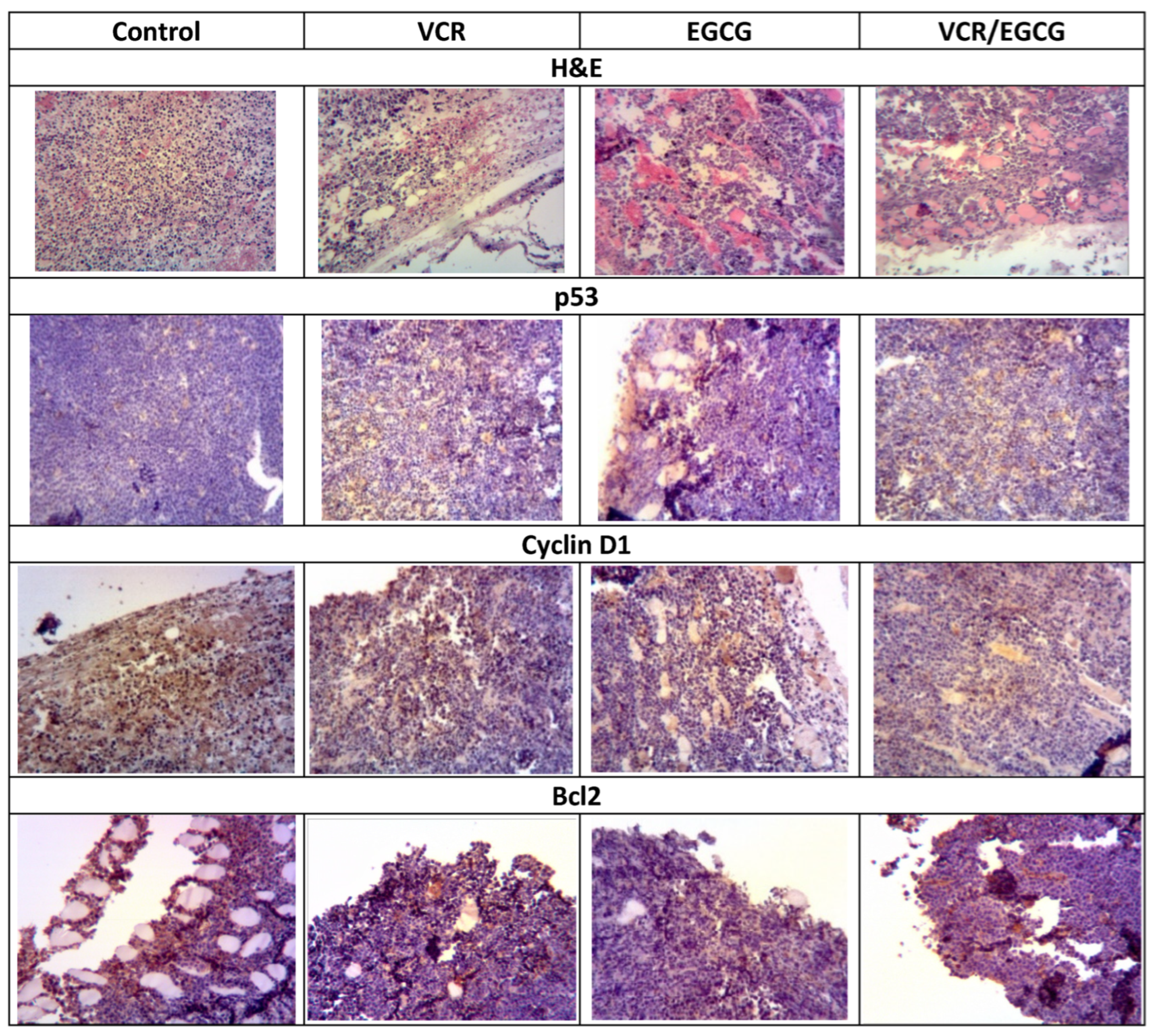 Plants 12 03757 g006