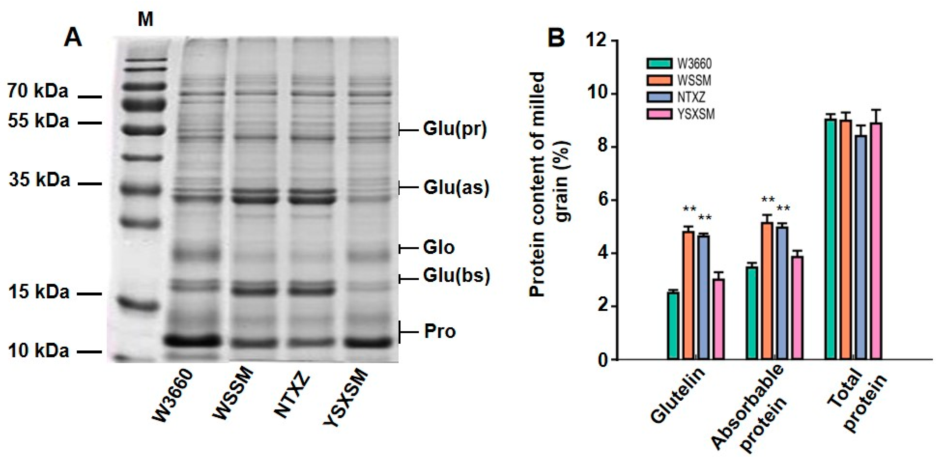 Plants 12 03763 g004