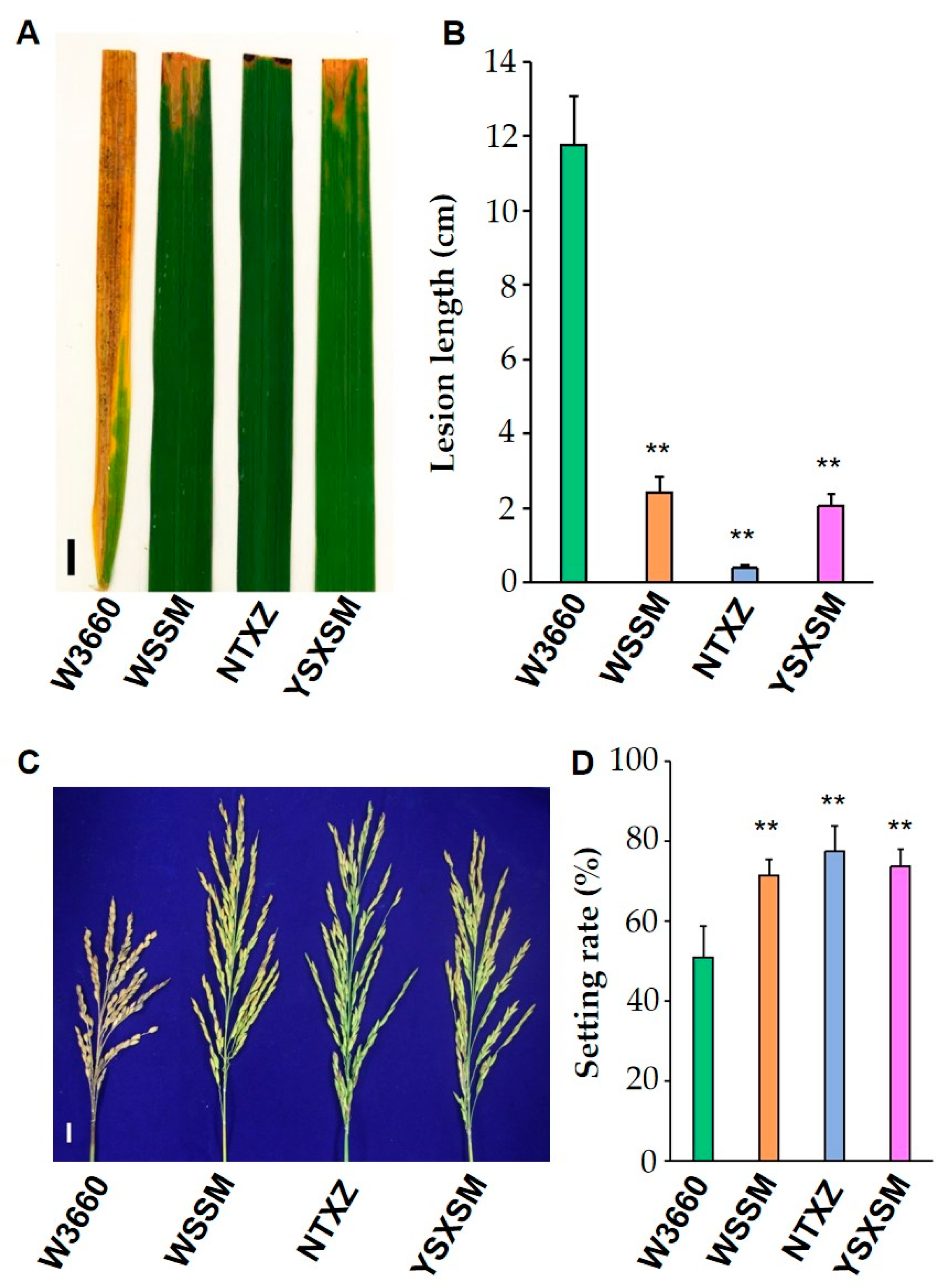 Plants 12 03763 g005