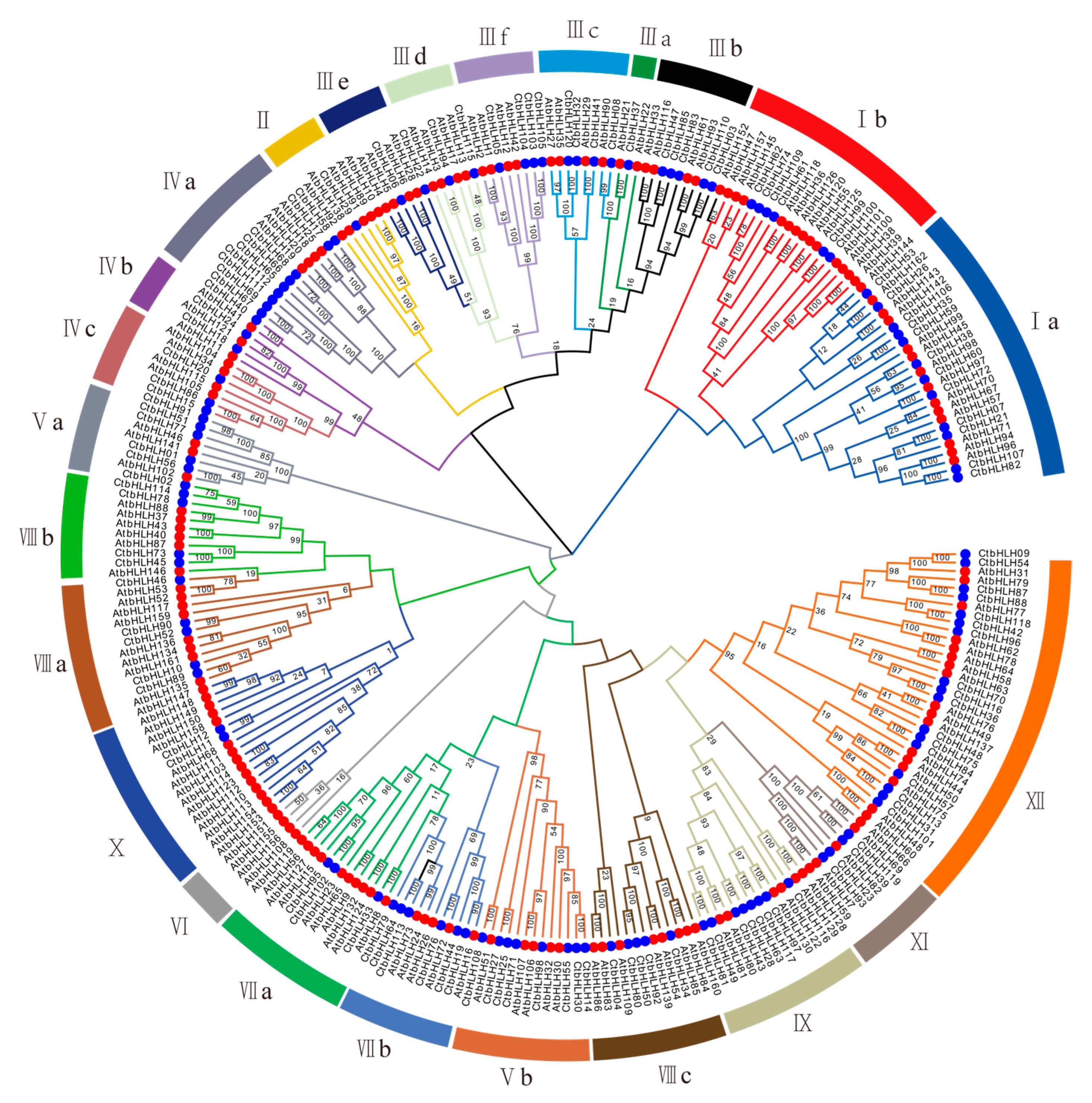 Plants 12 03764 g001