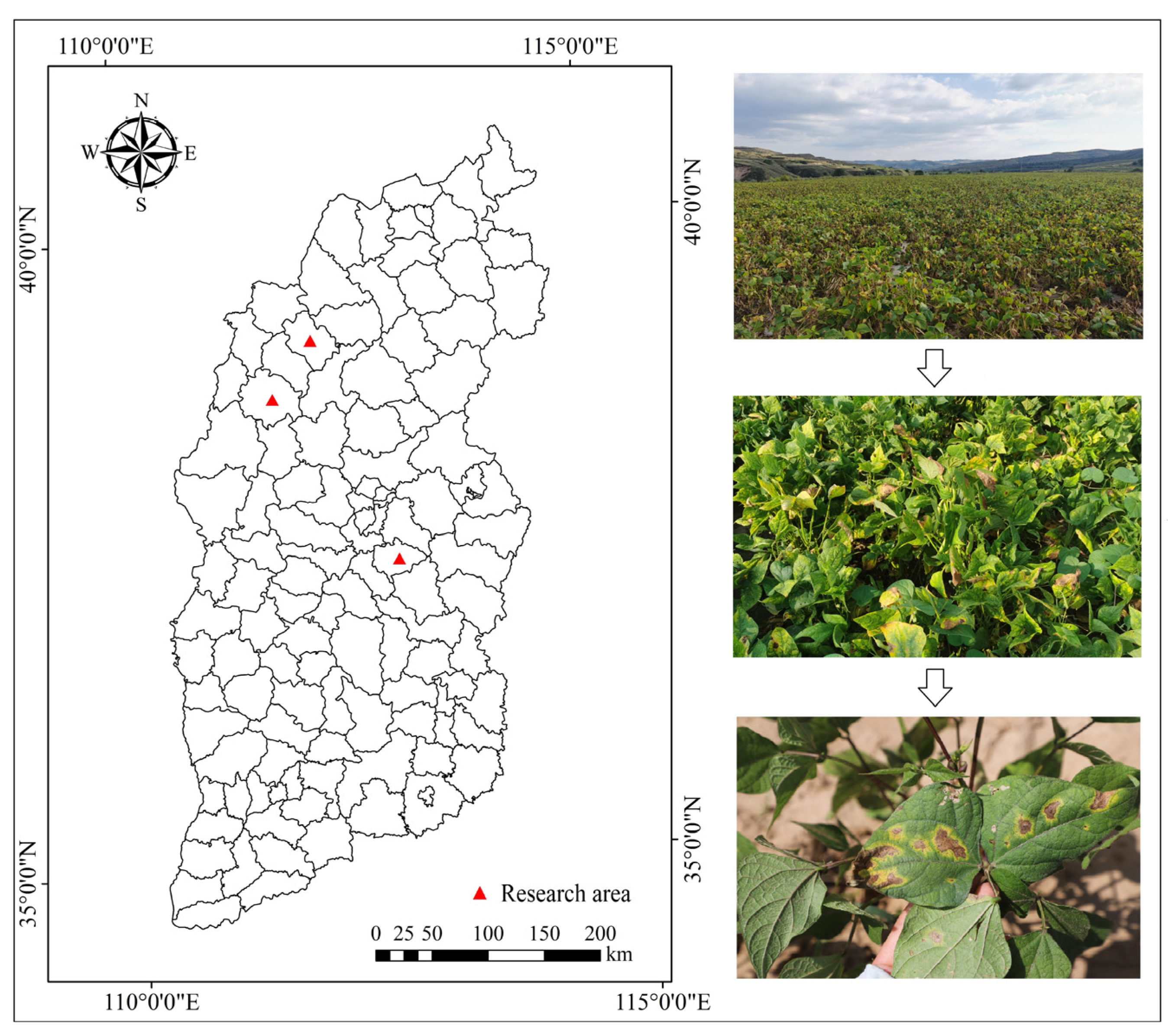 Plants 12 03765 g006