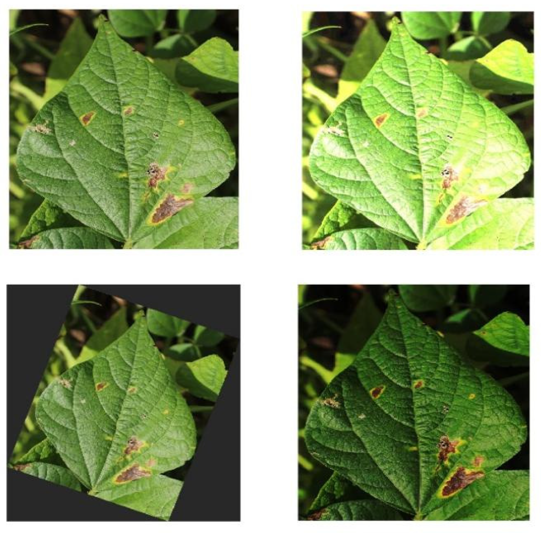 Plants 12 03765 g008