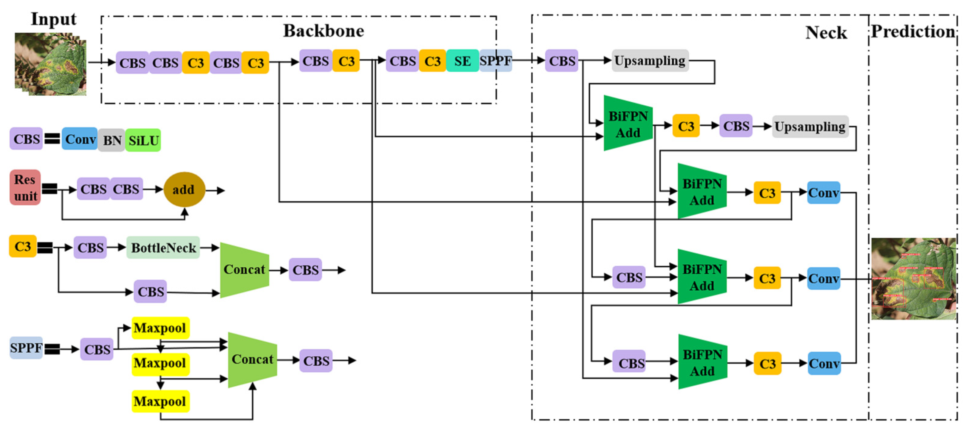 Plants 12 03765 g011