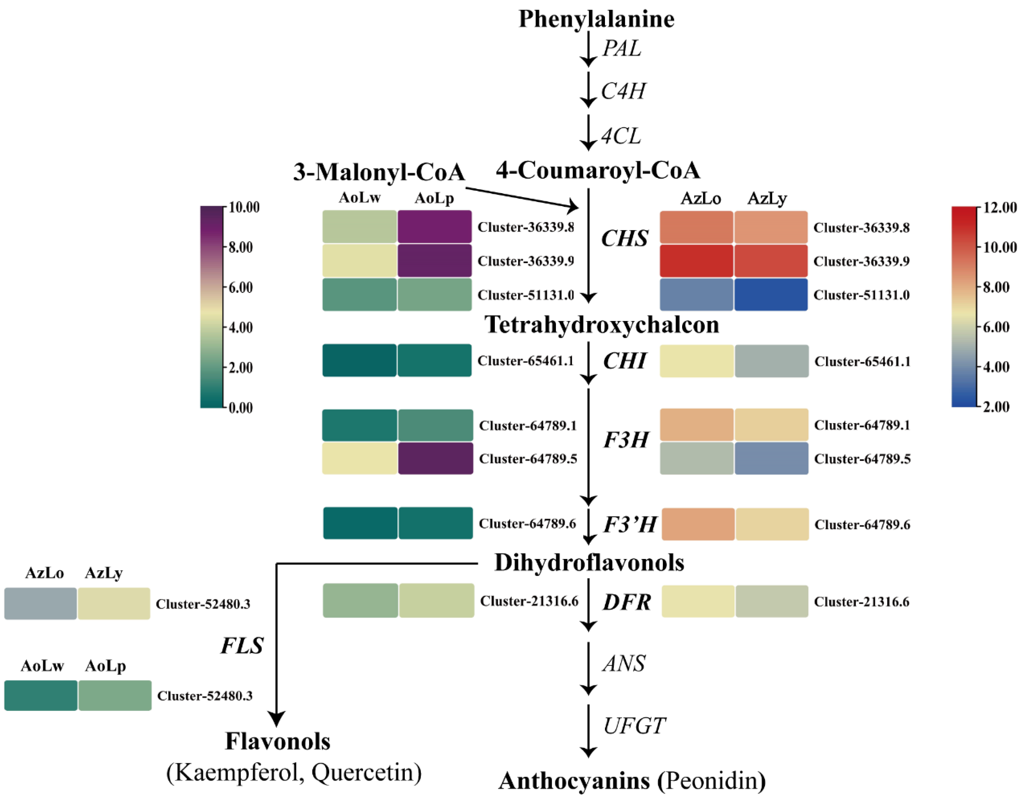 Plants 12 03766 g005