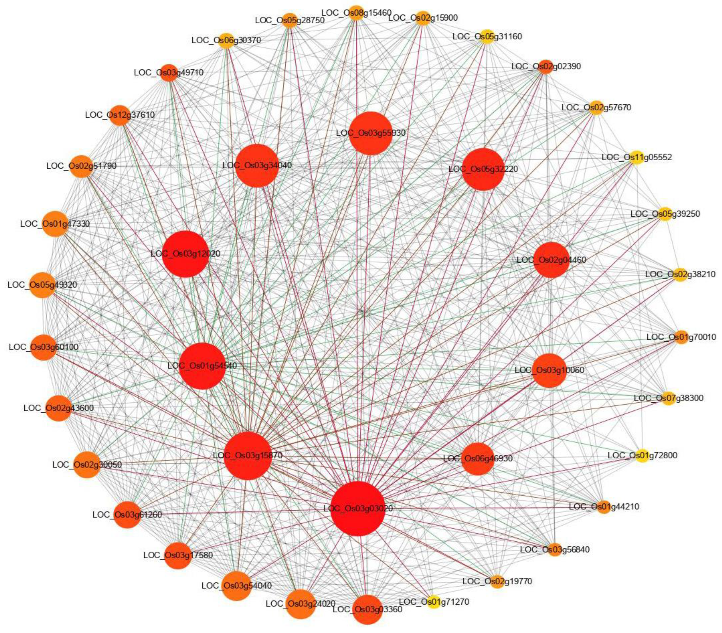 Plants 12 03785 g005