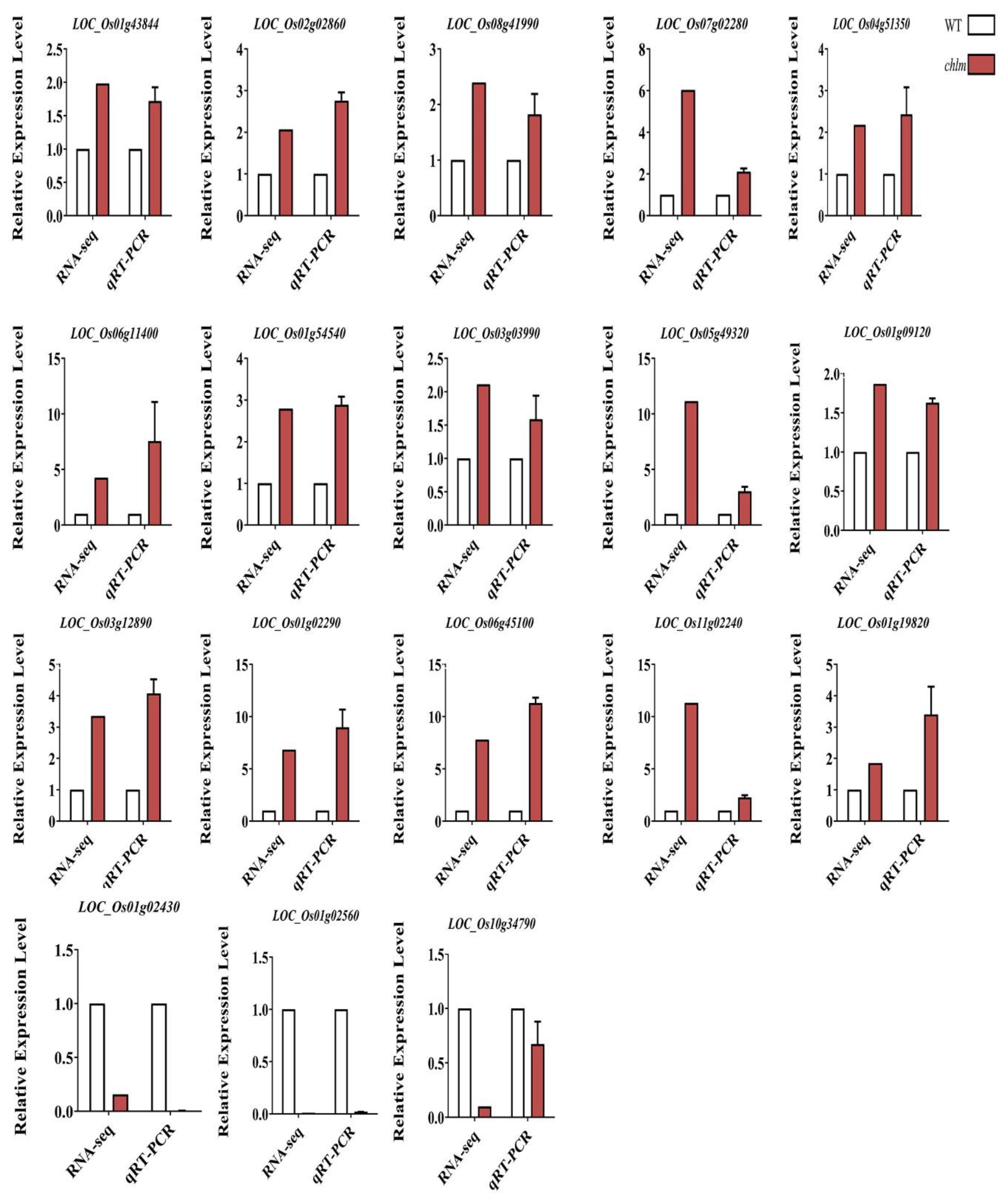Plants 12 03785 g011