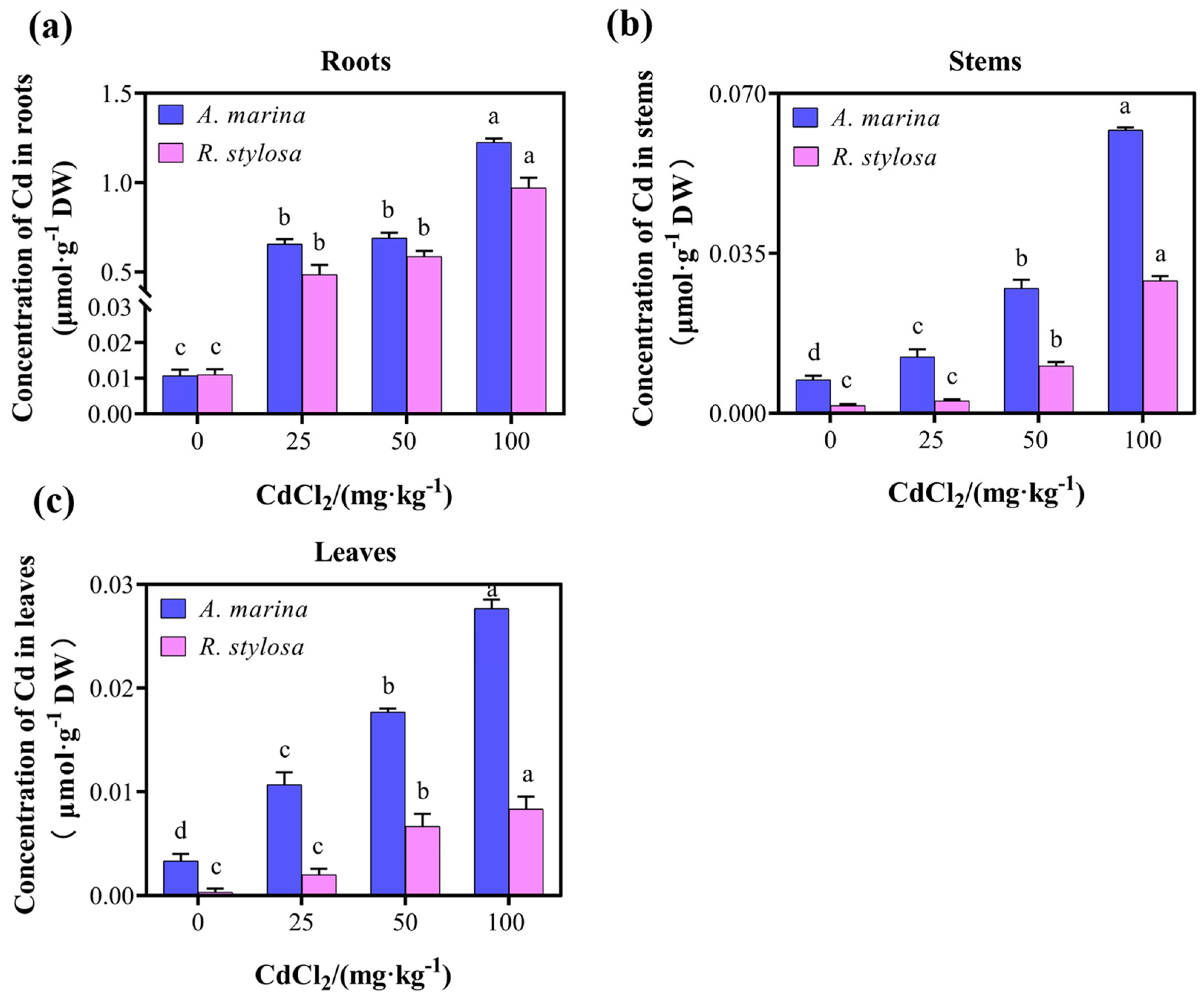 Plants 12 03786 g001