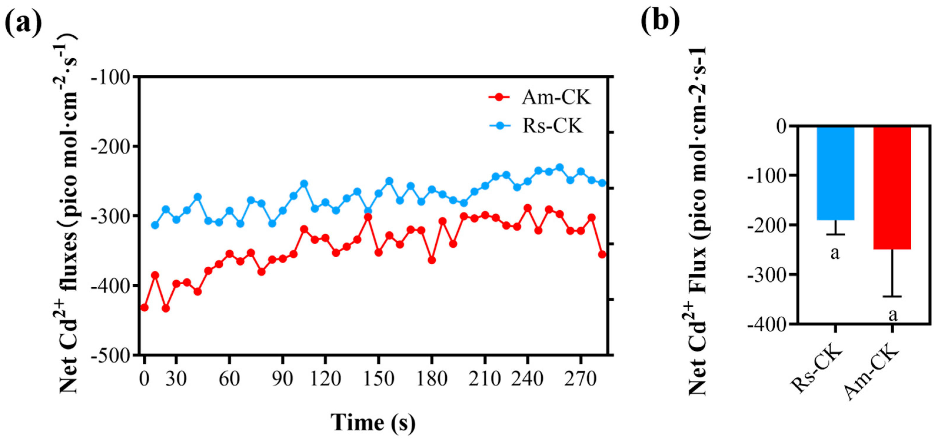 Plants 12 03786 g004