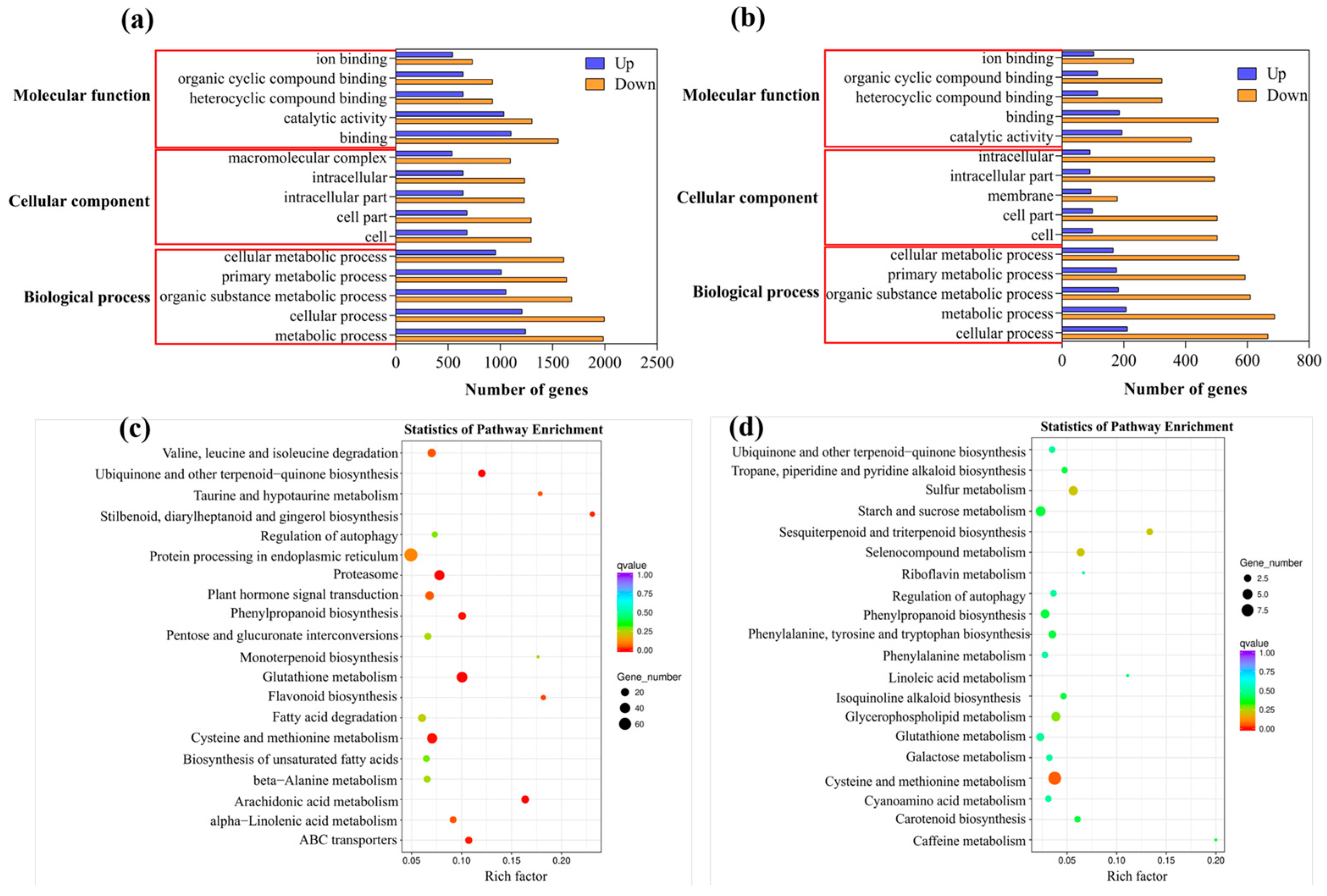 Plants 12 03786 g006