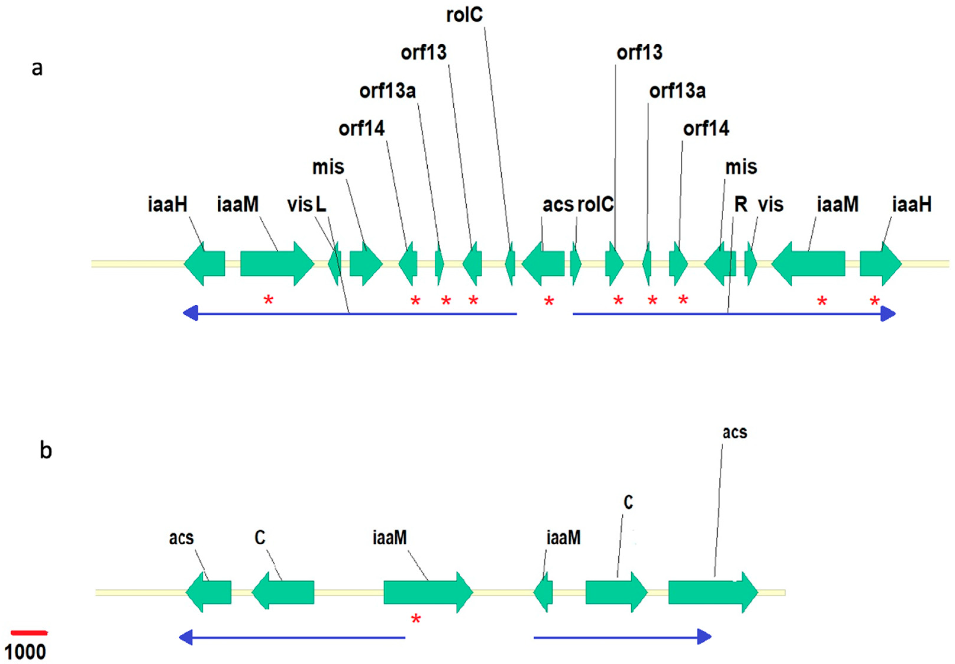 Plants 12 03787 g001